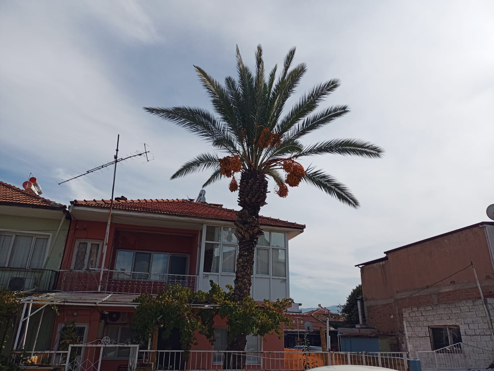 Whatsapp Image 2025 10 31 At 15.49.19