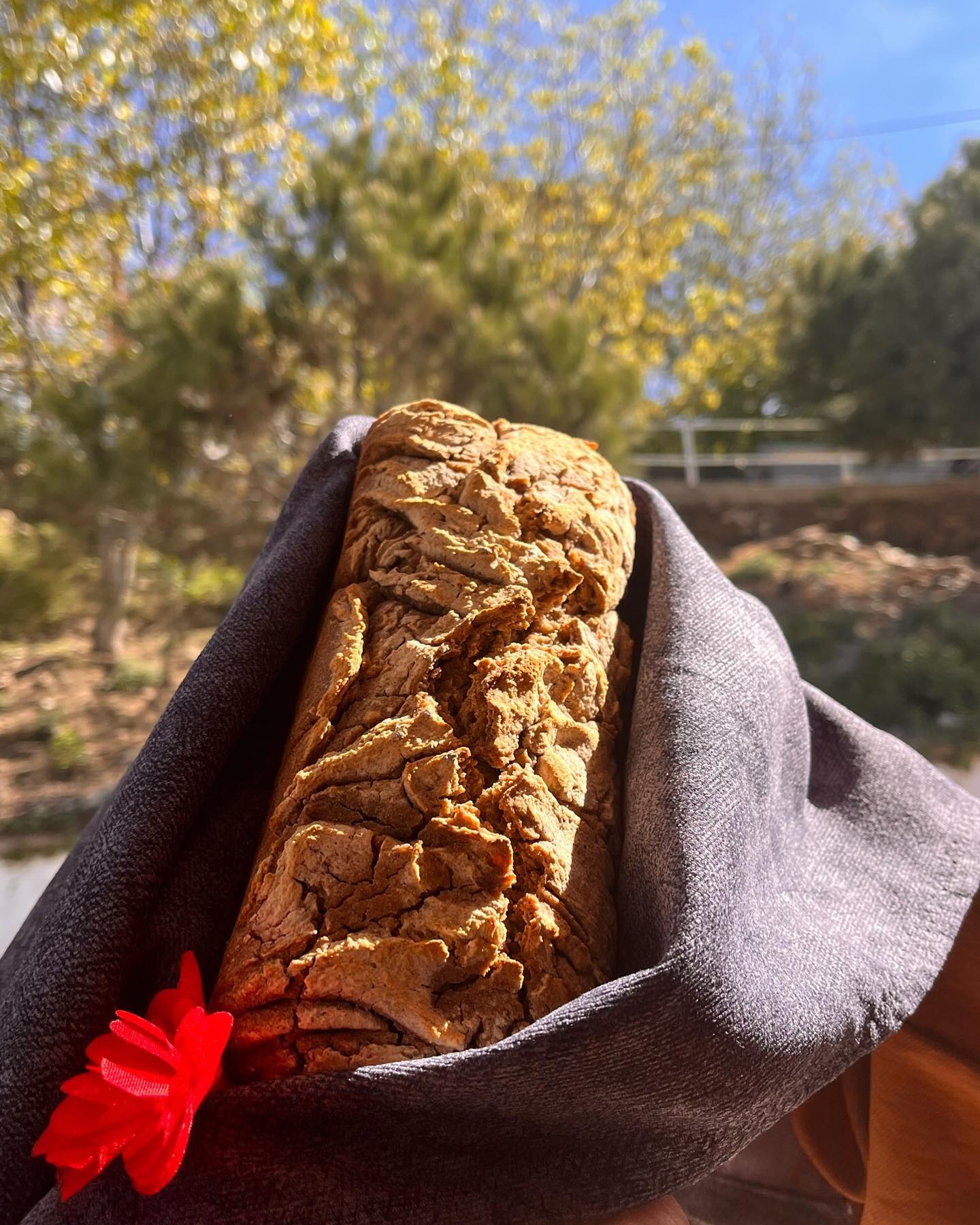 475970419 1679371282672862 2359273521033416209 N