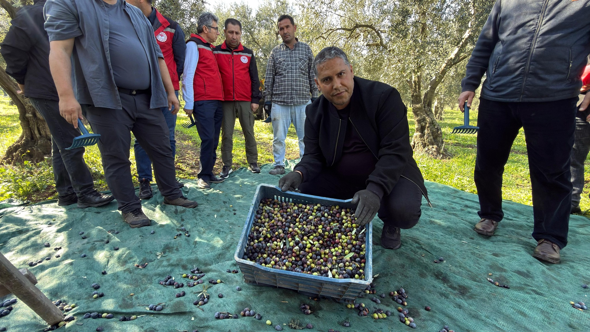 583738250 1330026825836636 883908164995289708 N