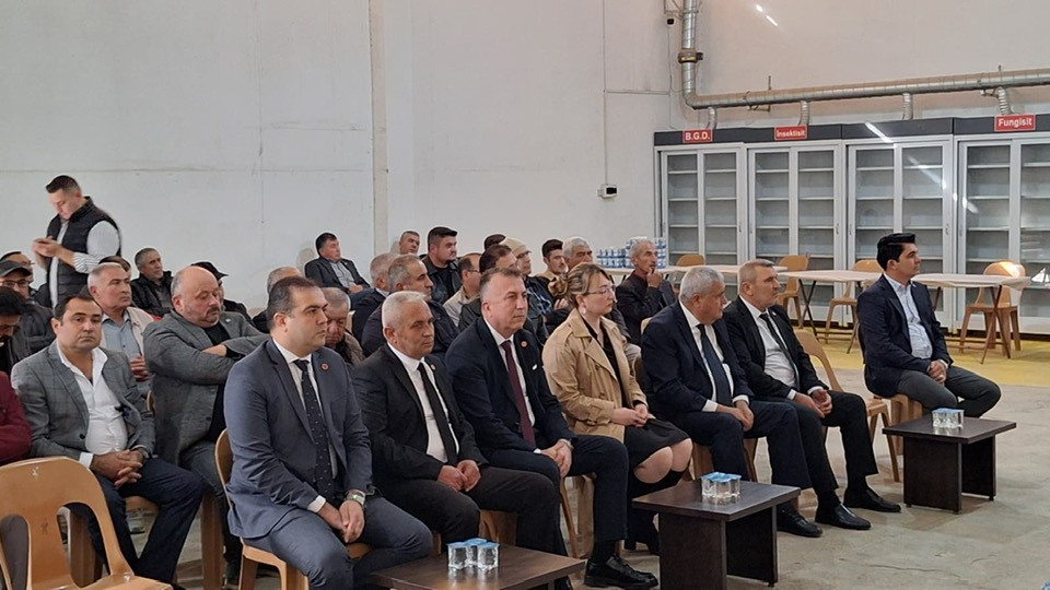 585189939 10229689021826900 8863736461088542555 N