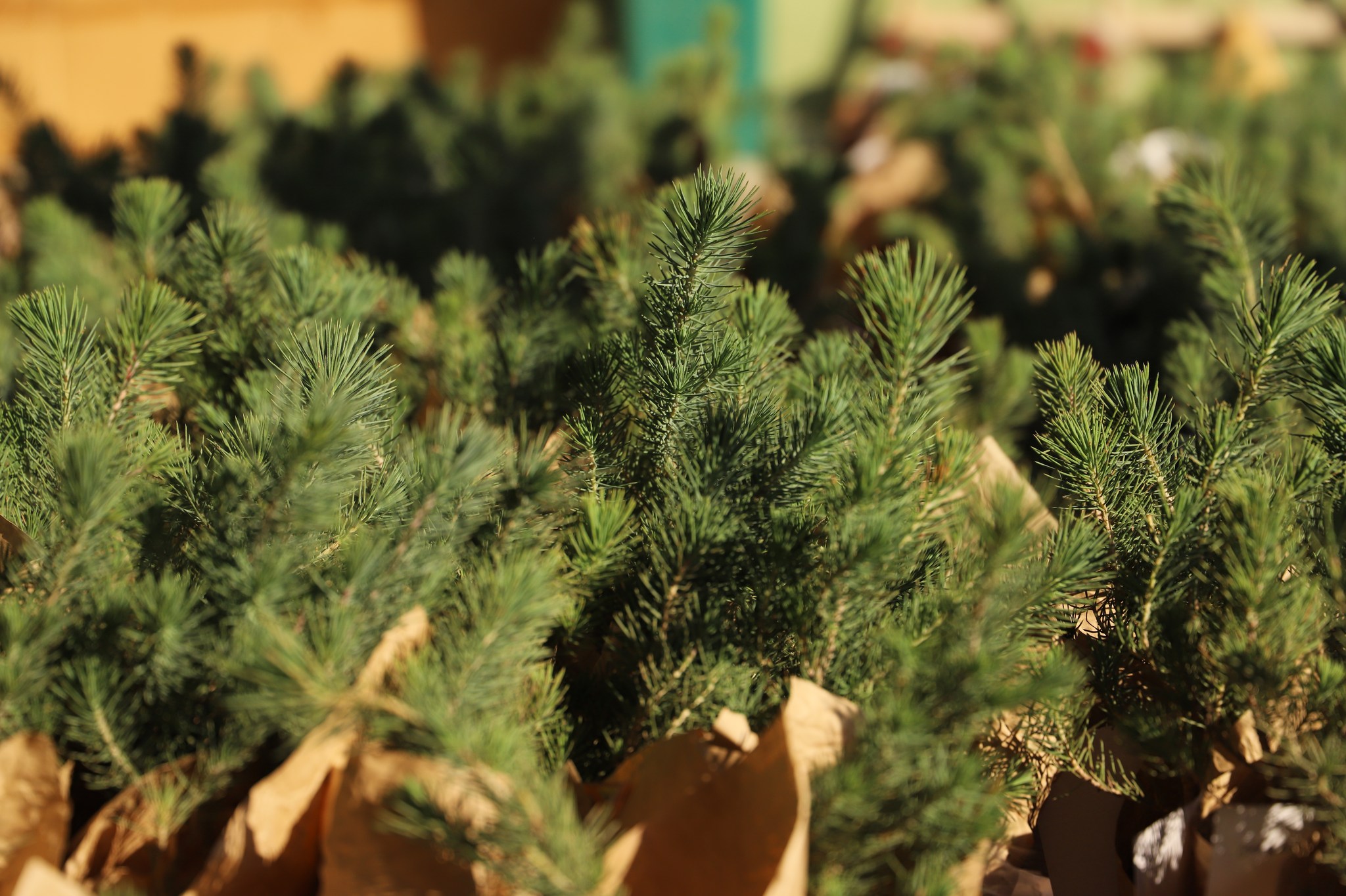 585602730 1166705188978322 6008262549580419173 N