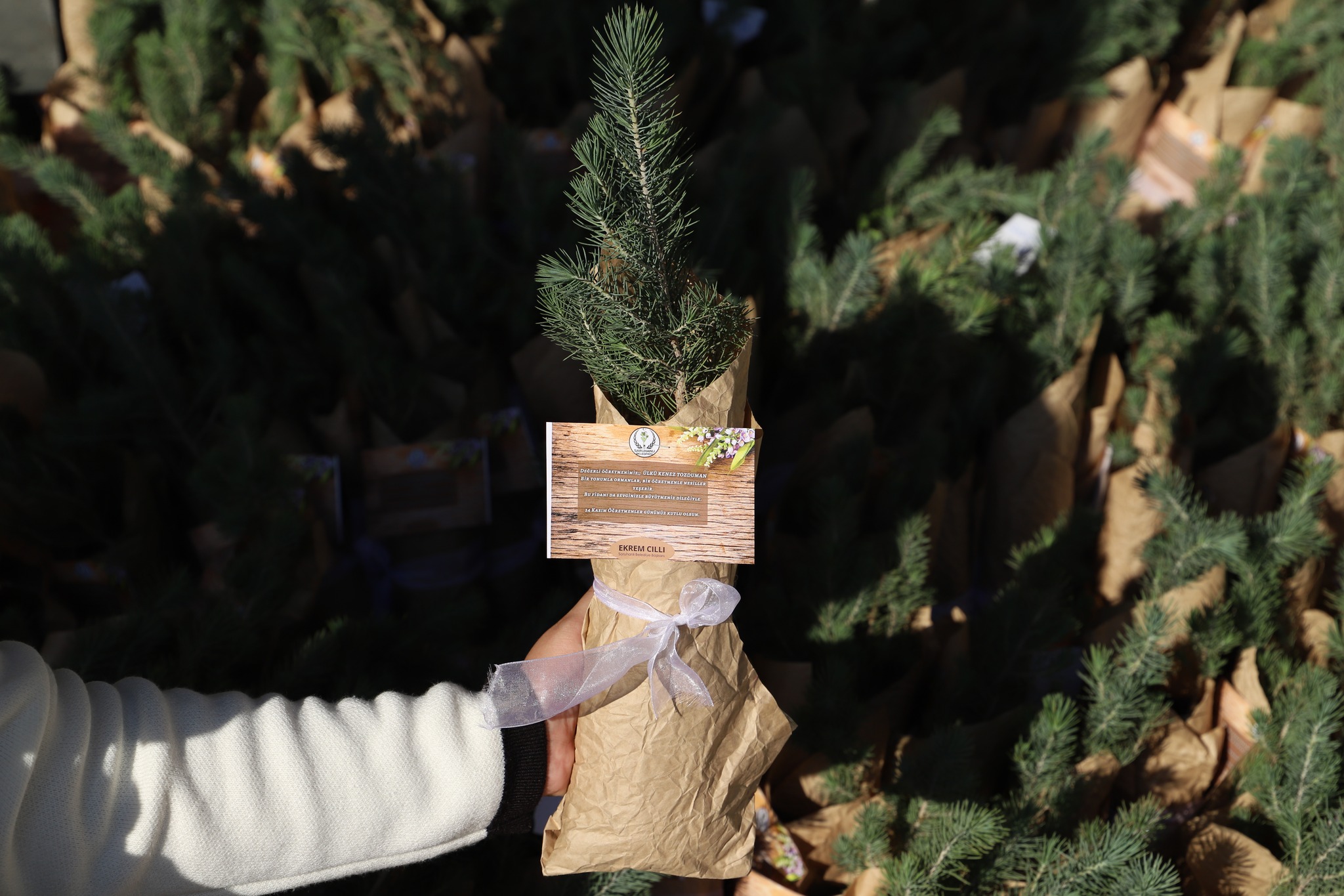 586395675 1166705142311660 1749423297566978306 N