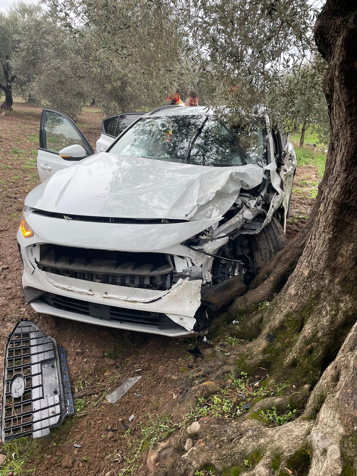 587772076 18350852947200553 6456848641813954846 N