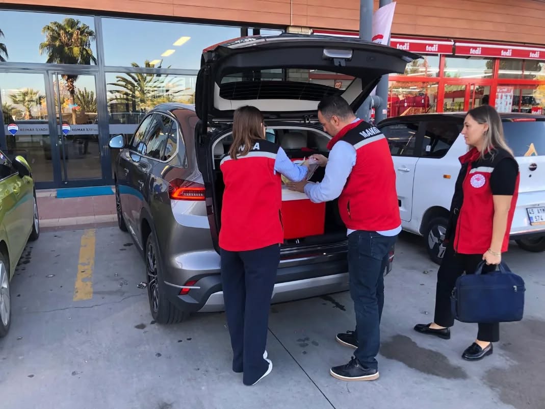 588176422 18411183526186506 76754059281904363 N