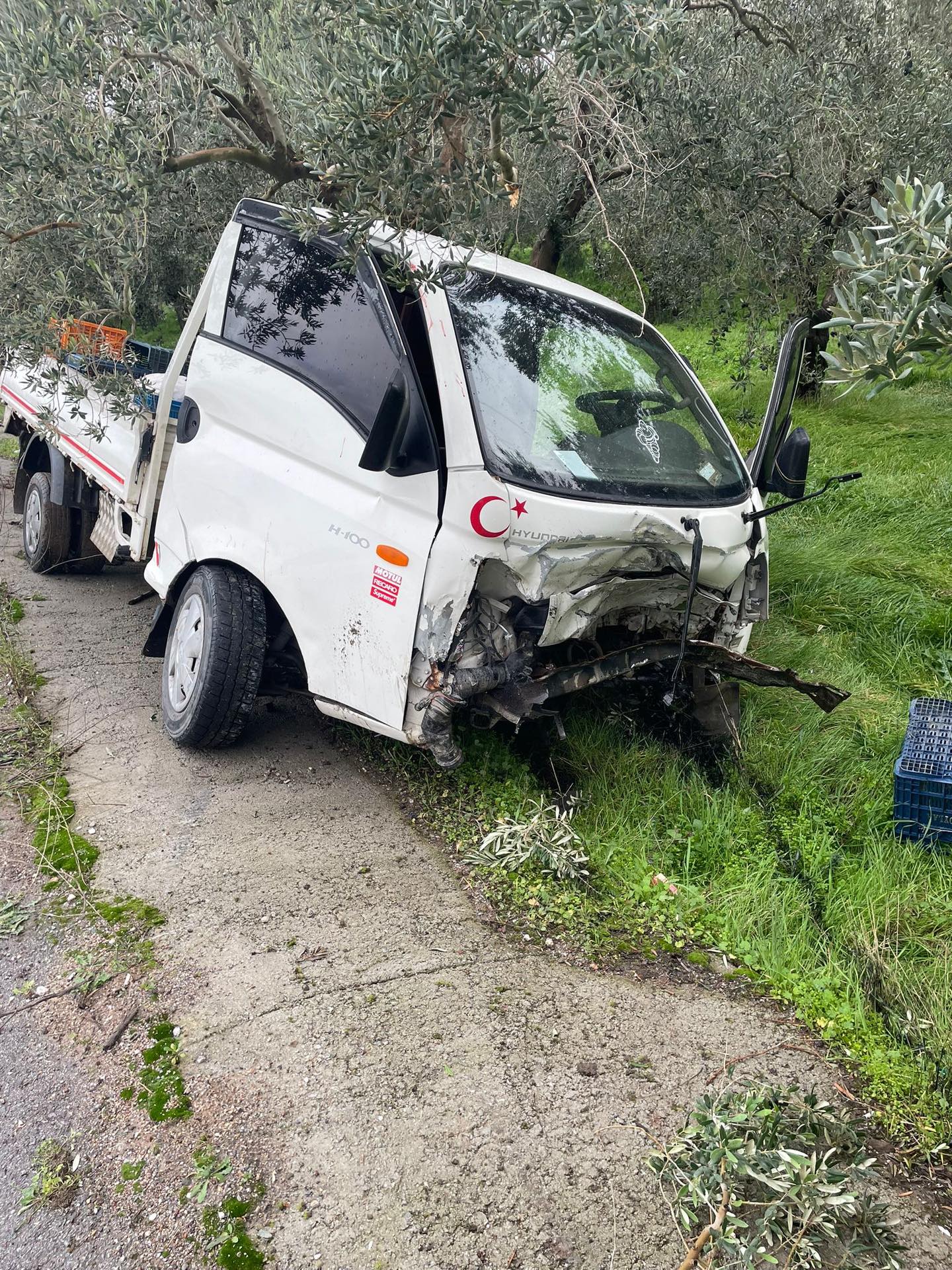 588305367 18350852983200553 5775502379351137917 N