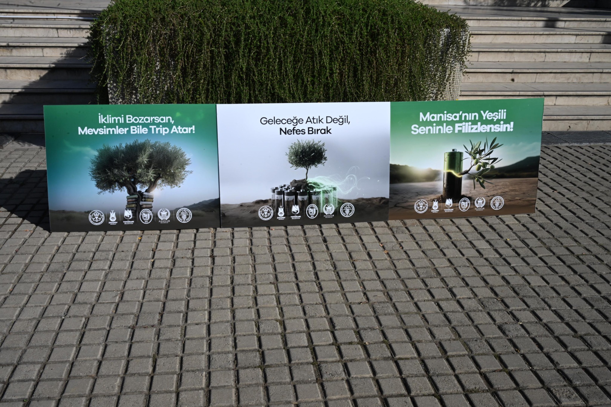 589337219 1265082625660094 7516760579663162359 N