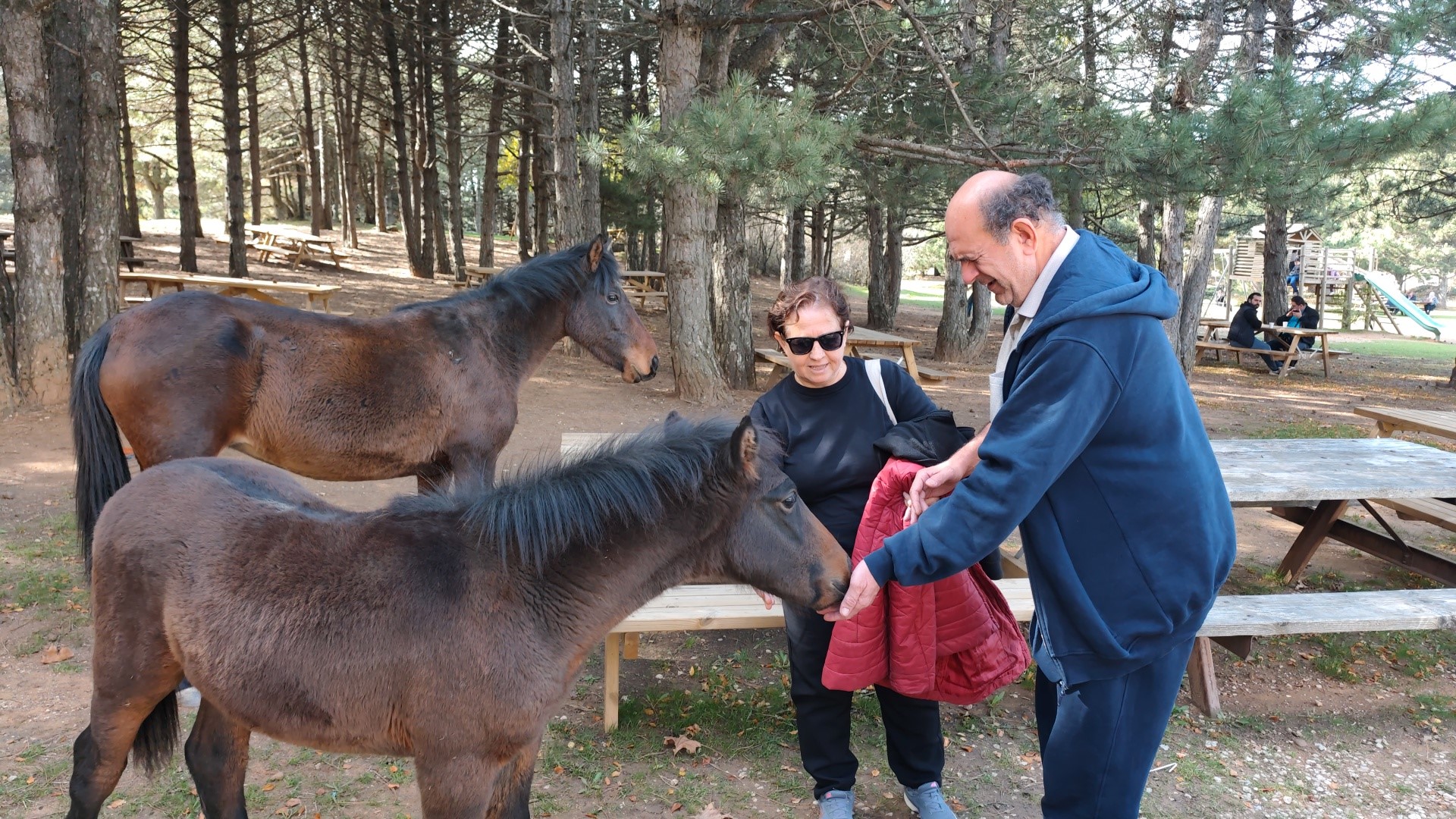 Manisa'da görme engelliler Spi Dağı'nda bayrak değiştirdi-1.2.2