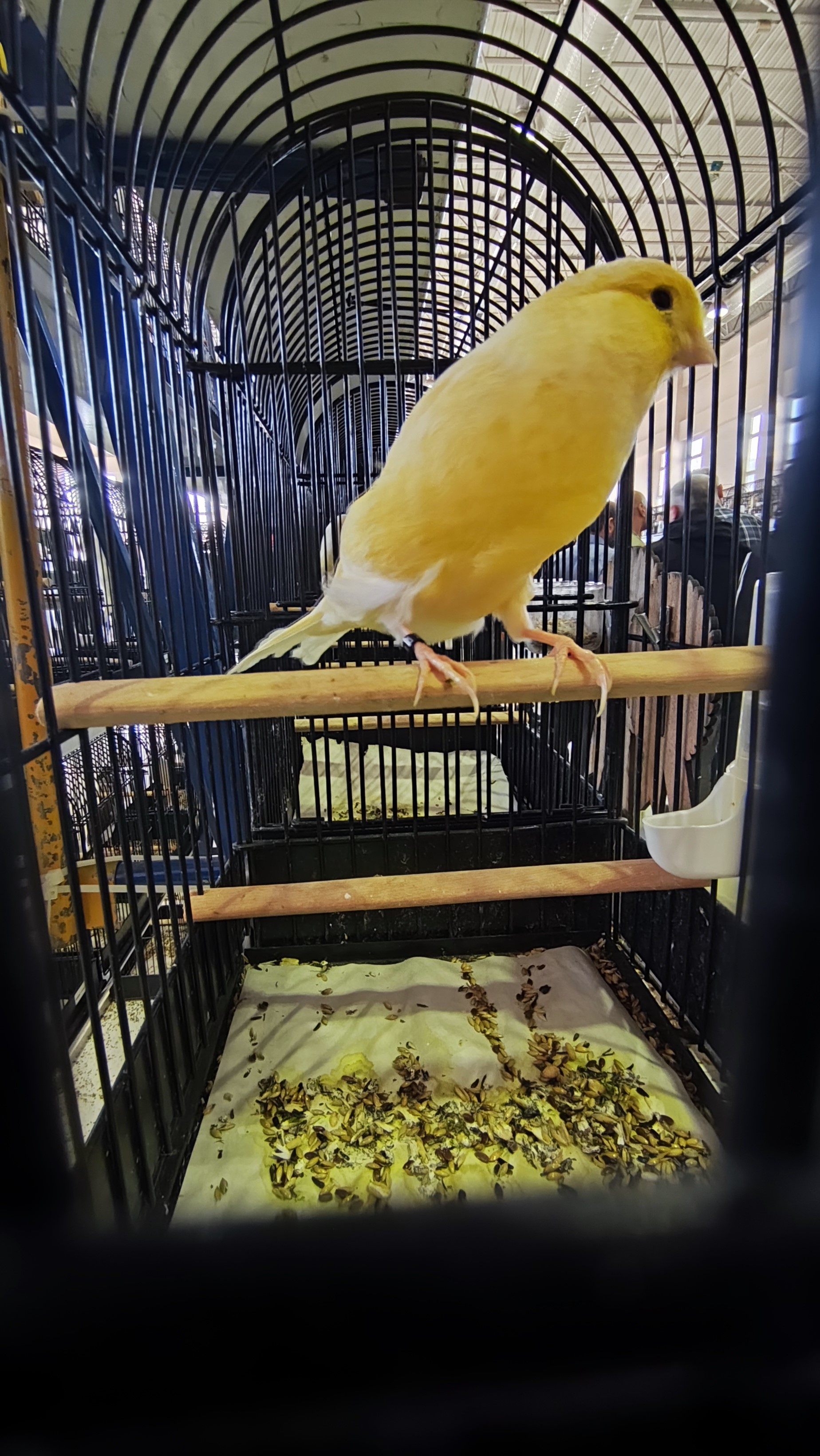 Başkan Özkaya: 'Manisa bu işin merkezidir'-.1.