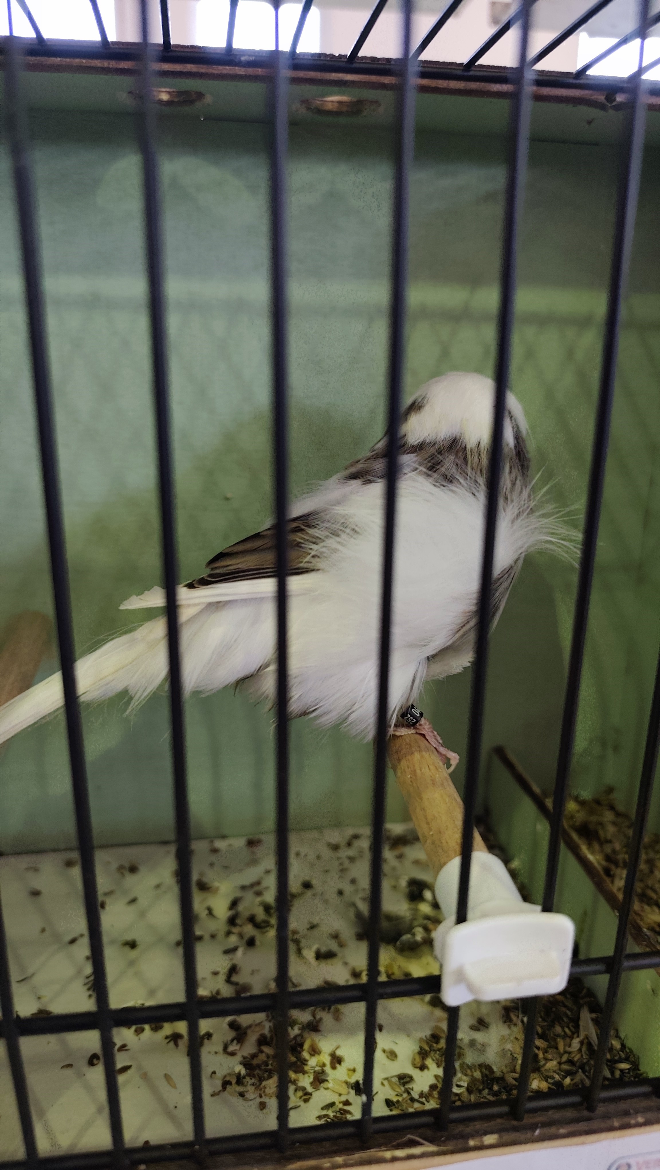 Başkan Özkaya: 'Manisa bu işin merkezidir'-.2.