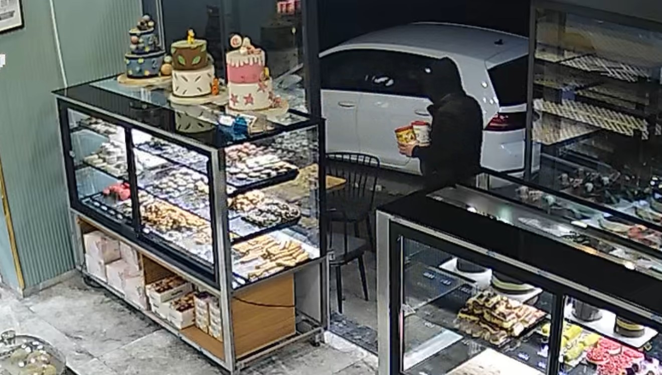 Manisa'da SMA hastası çocuk için konulan bağış kutusu çalındı-3.1