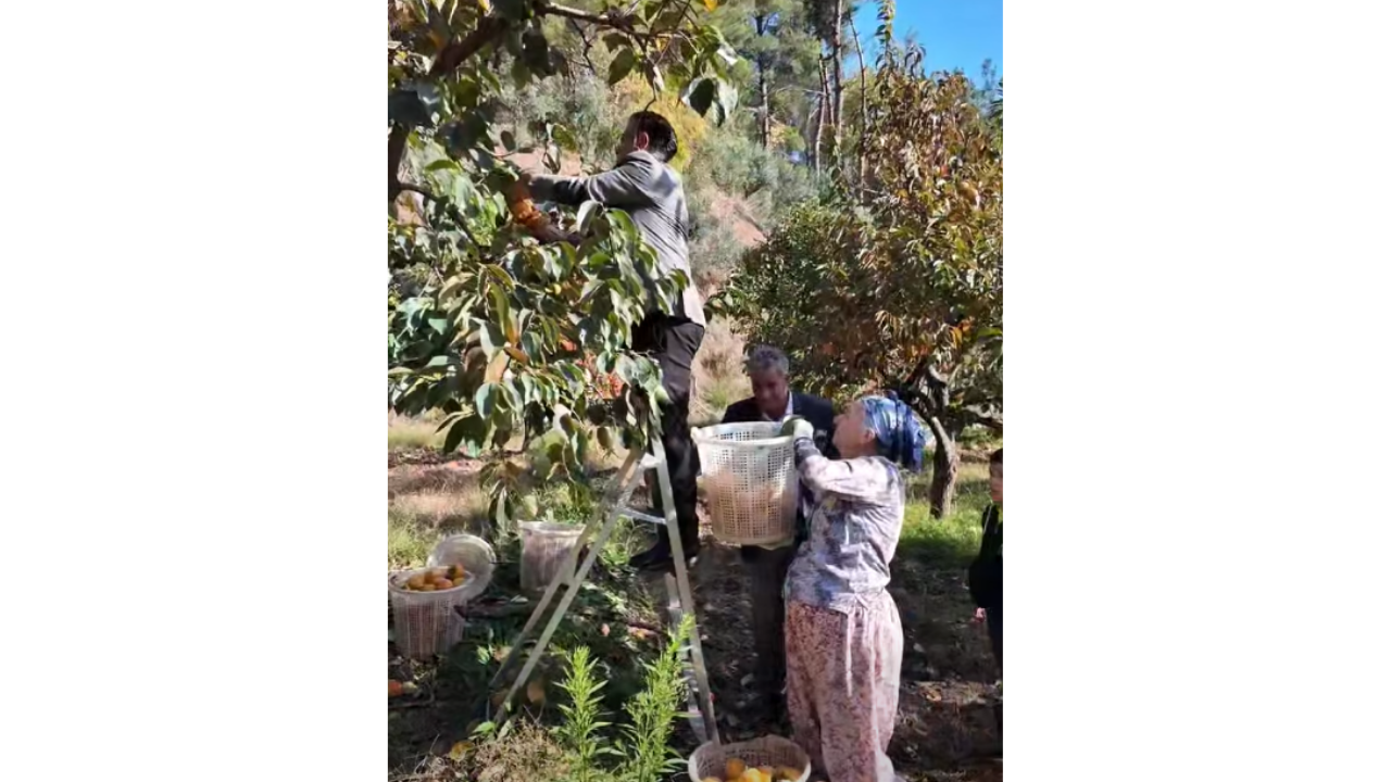 Belediye Başkanı Duyurdu Alaşehir'de Bir Ilk! (1)