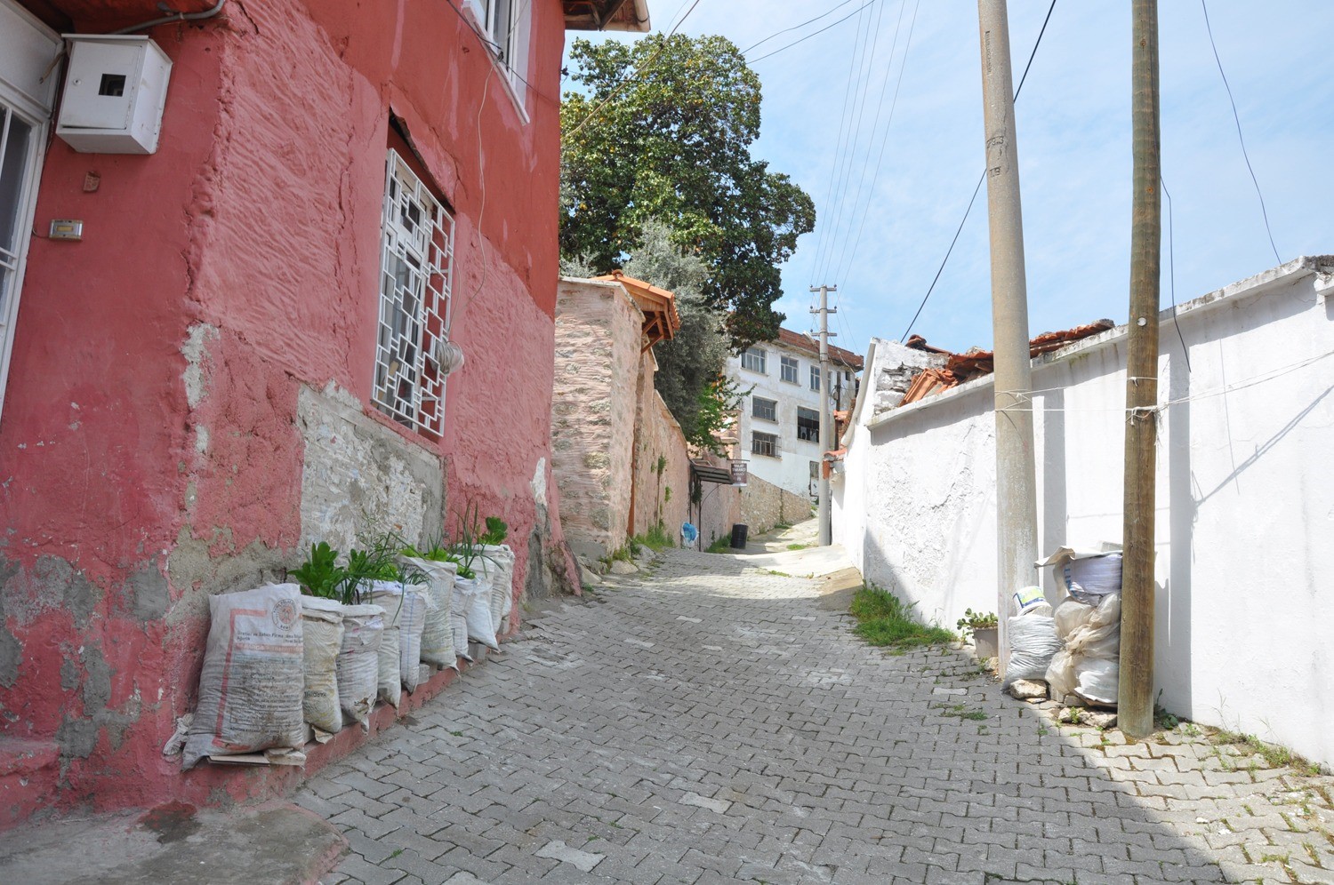 Buldan Tarihi Ev (2)