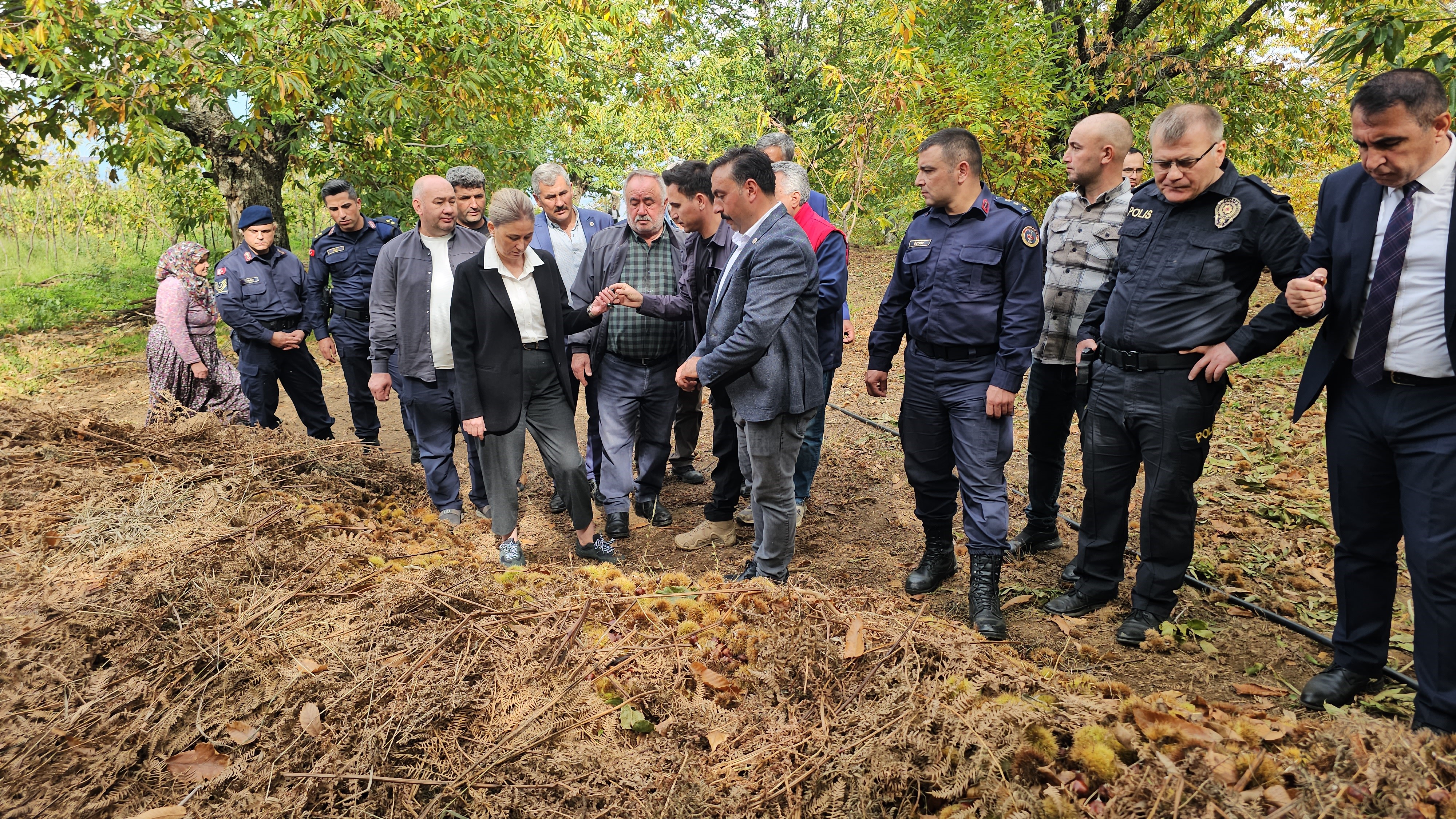 Kestane Hasadı (4)-1