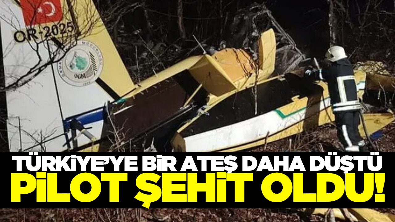 Türkiye’ye ait yangın uçağı düştü:  Pilot şehit oldu!