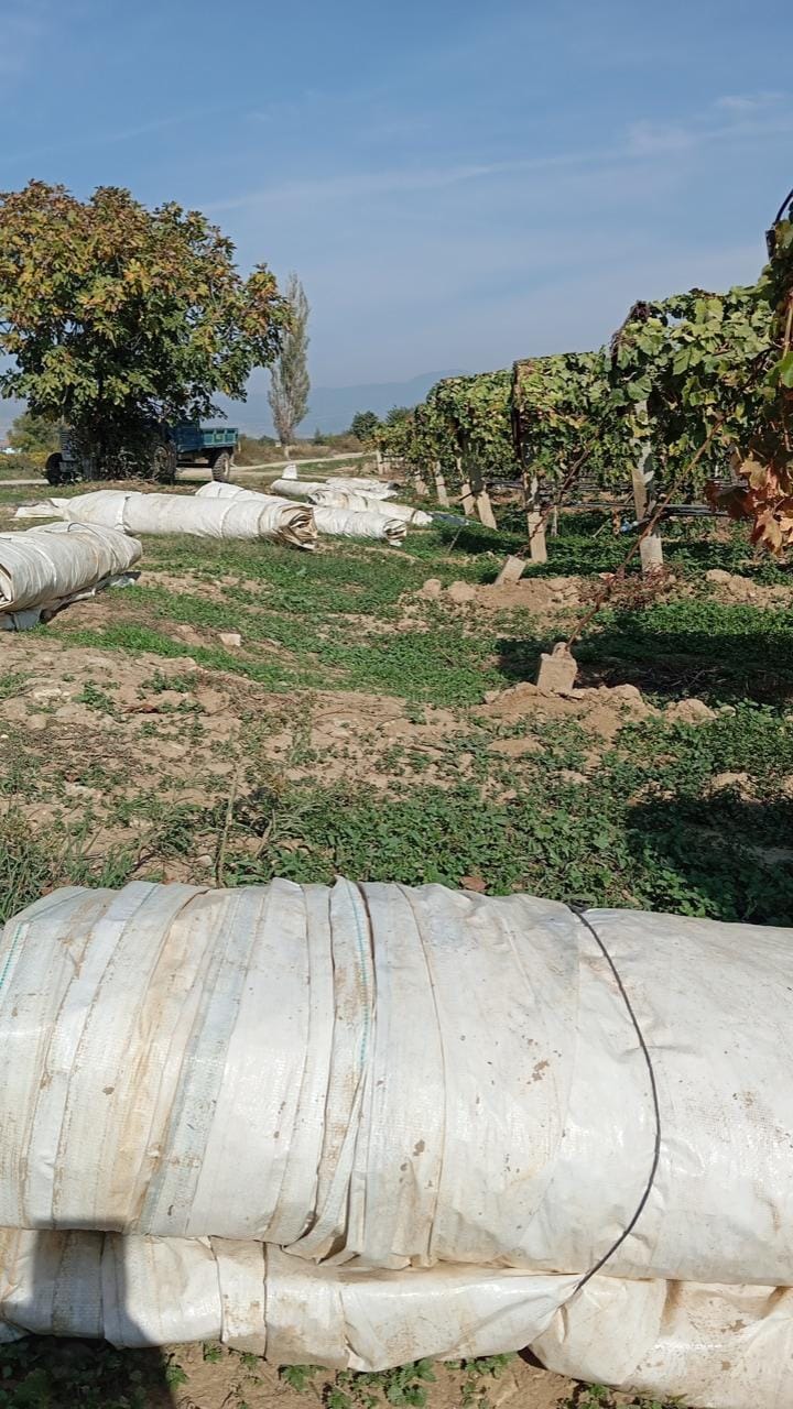 Whatsapp Image 2025 11 03 At 14.39.34