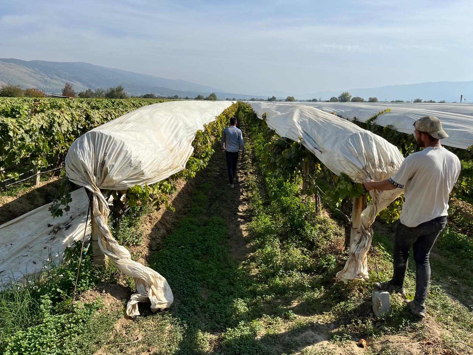 Whatsapp Image 2025 11 03 At 14.39.35 (2)