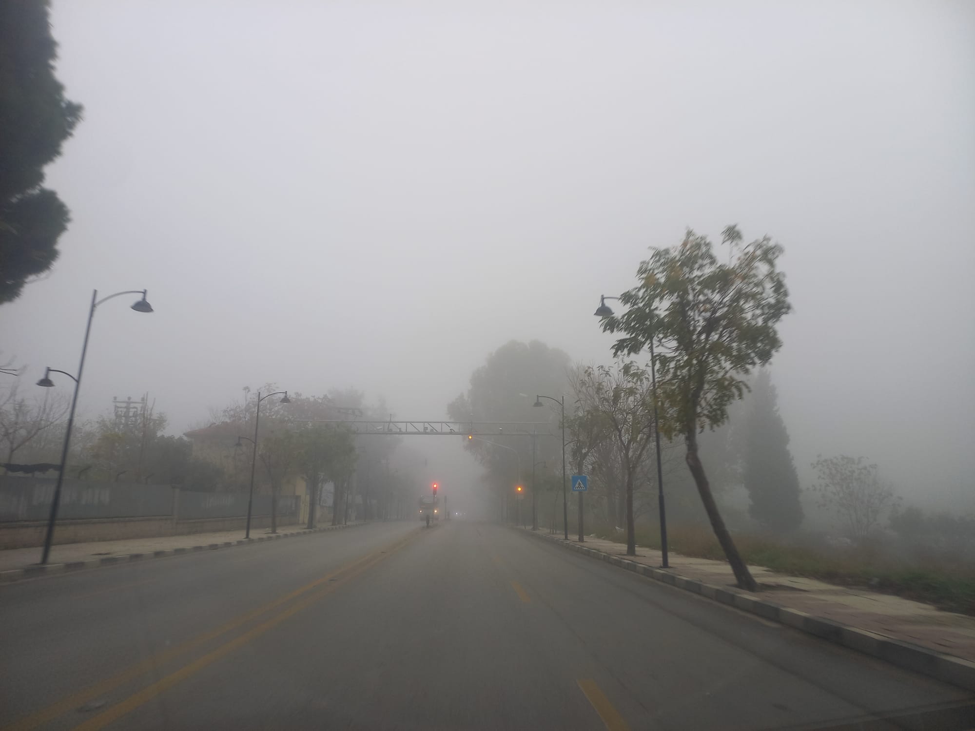 Whatsapp Image 2025 11 08 At 08.54.39