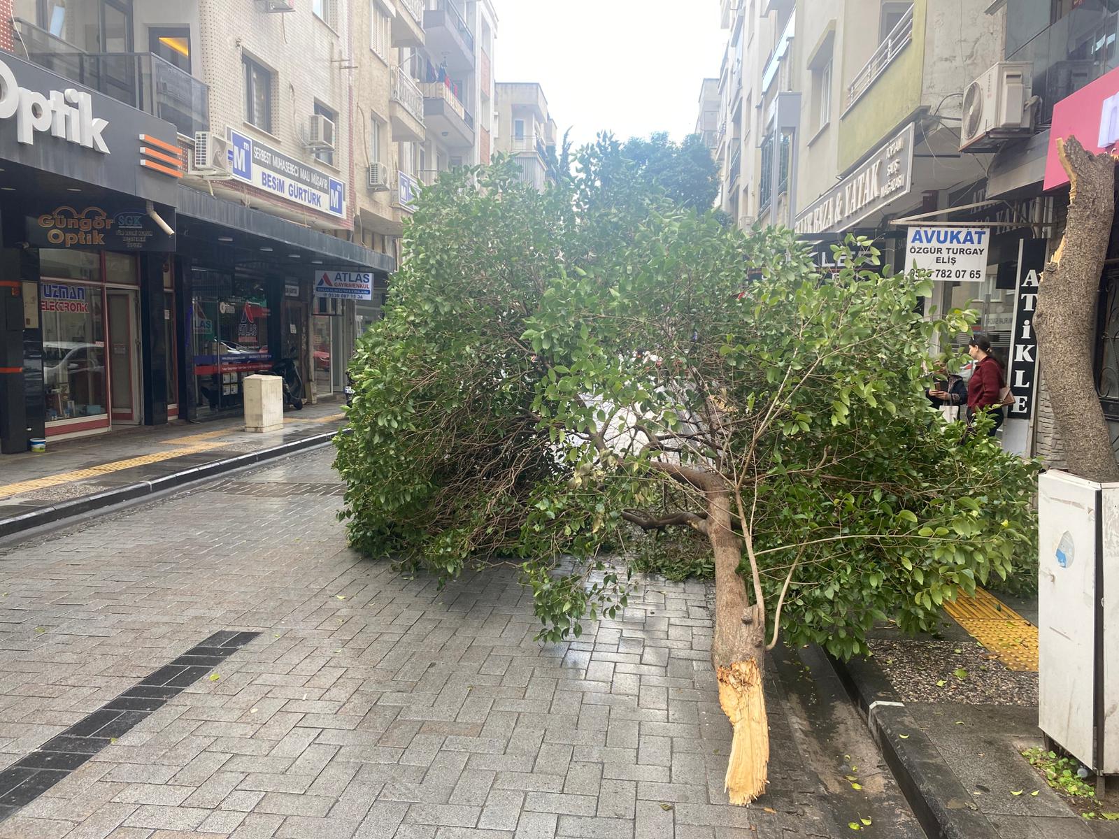 Whatsapp Image 2025 11 11 At 13.40.34