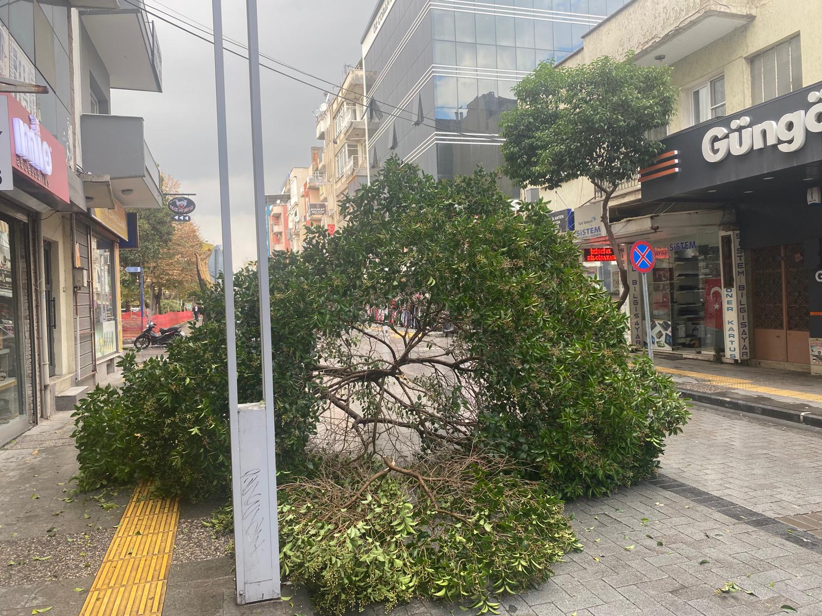 Whatsapp Image 2025 11 11 At 13.40.35