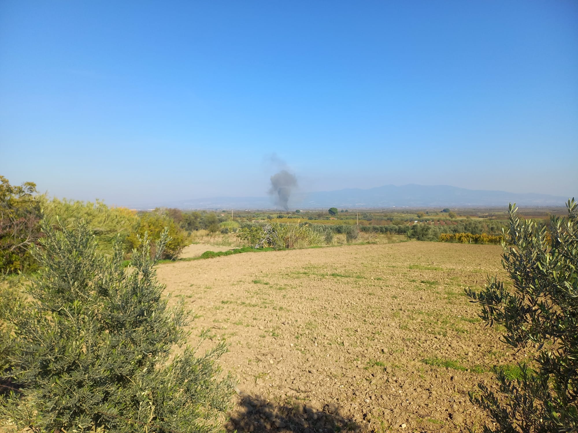 Whatsapp Image 2025 11 15 At 14.08.50