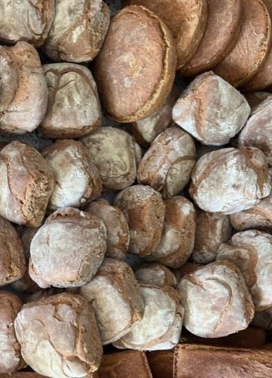 Whatsapp Image 2025 11 16 At 11.18.06