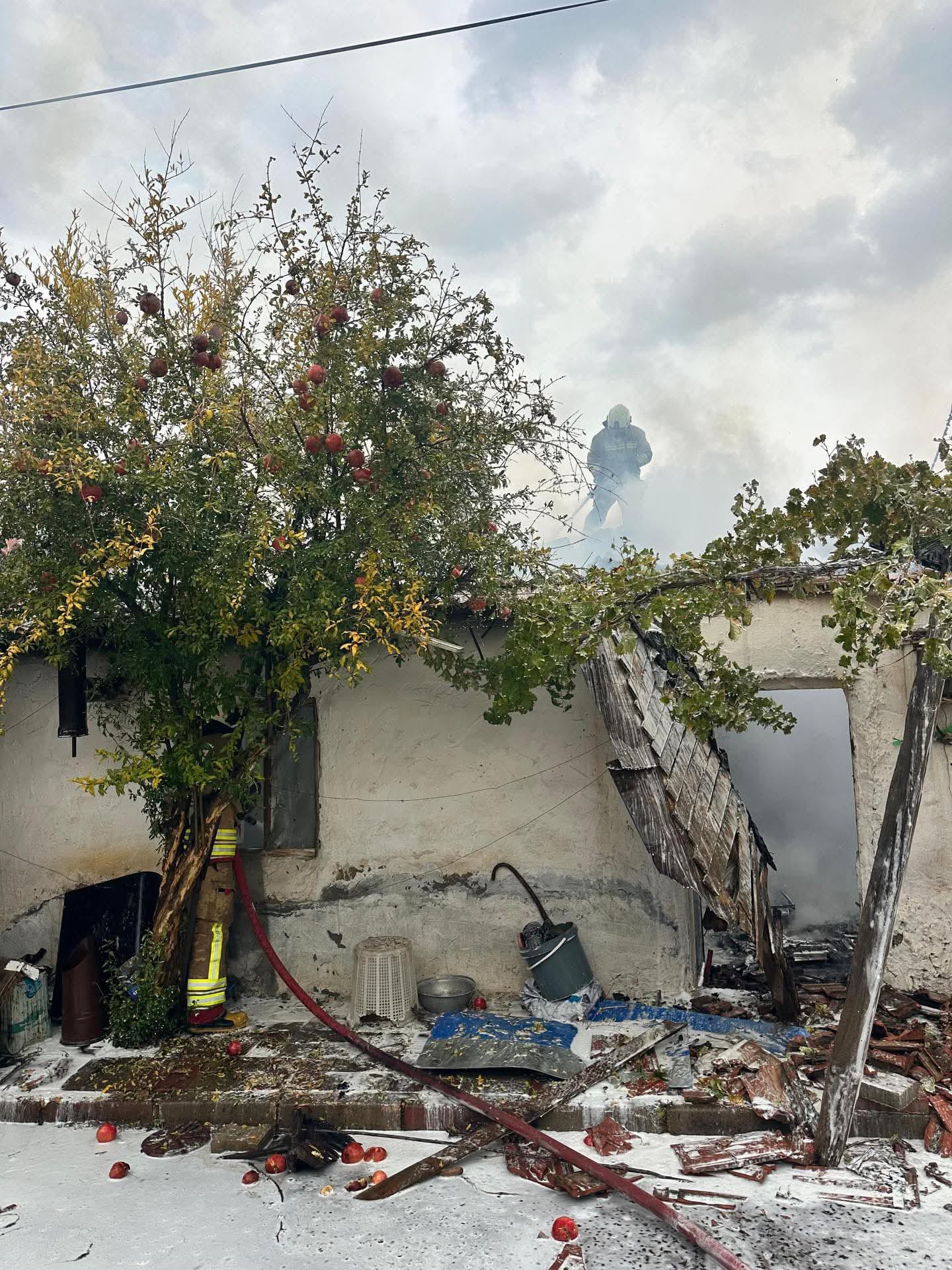 Whatsapp Image 2025 11 23 At 14.52.48 (1)