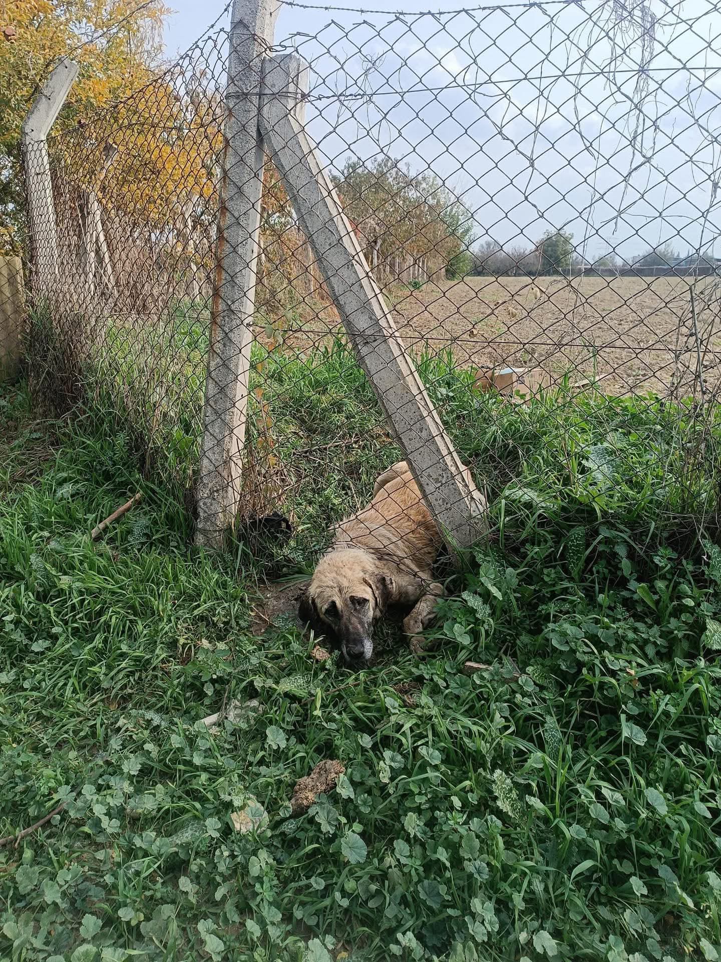 Whatsapp Image 2025 11 23 At 14.55.58 (2)