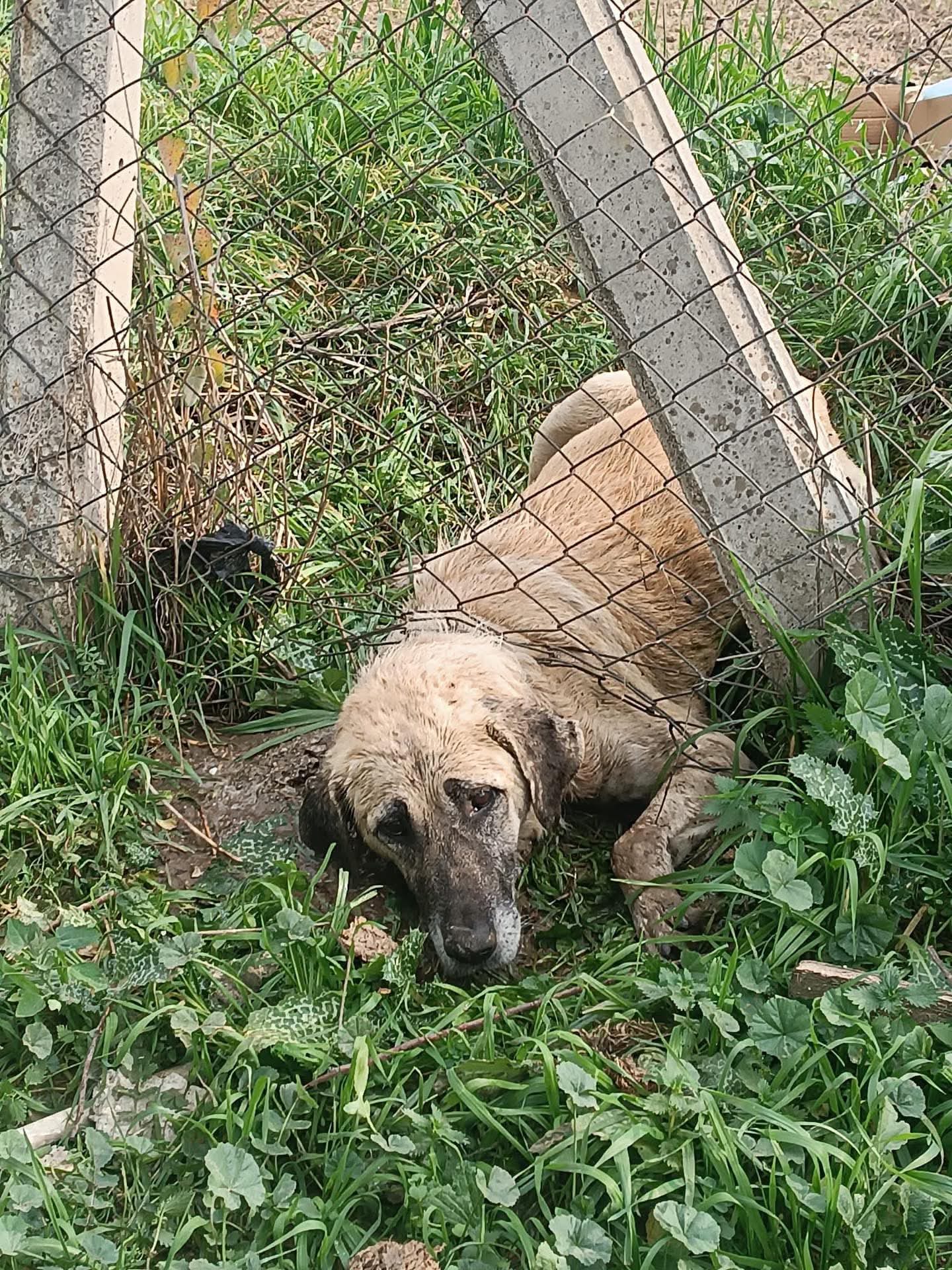 Whatsapp Image 2025 11 23 At 14.55.58 (3)