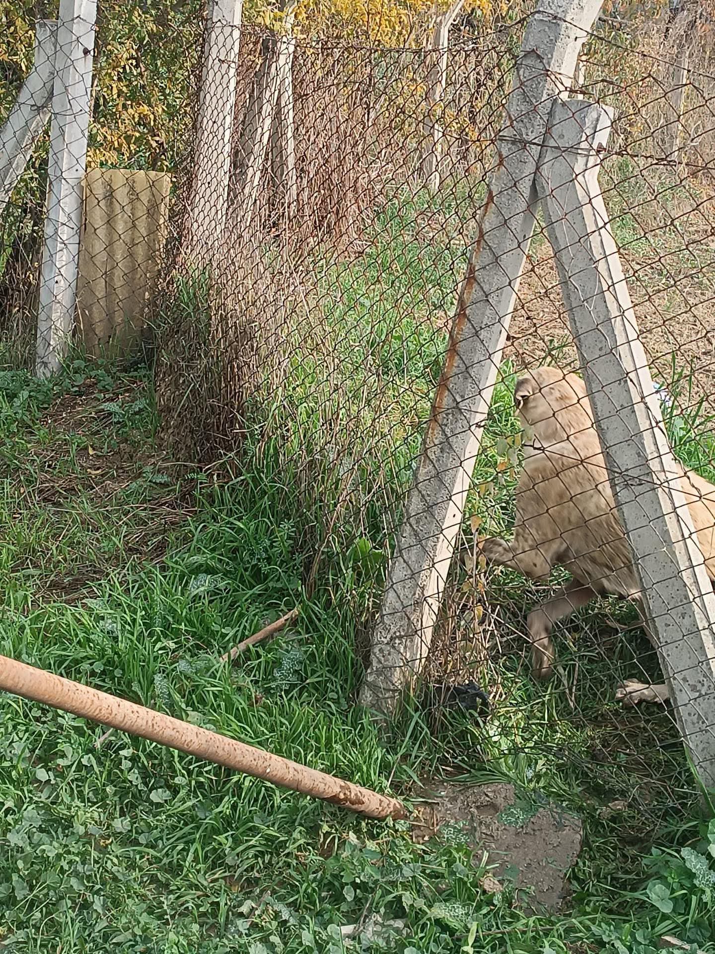 Whatsapp Image 2025 11 23 At 14.55.58