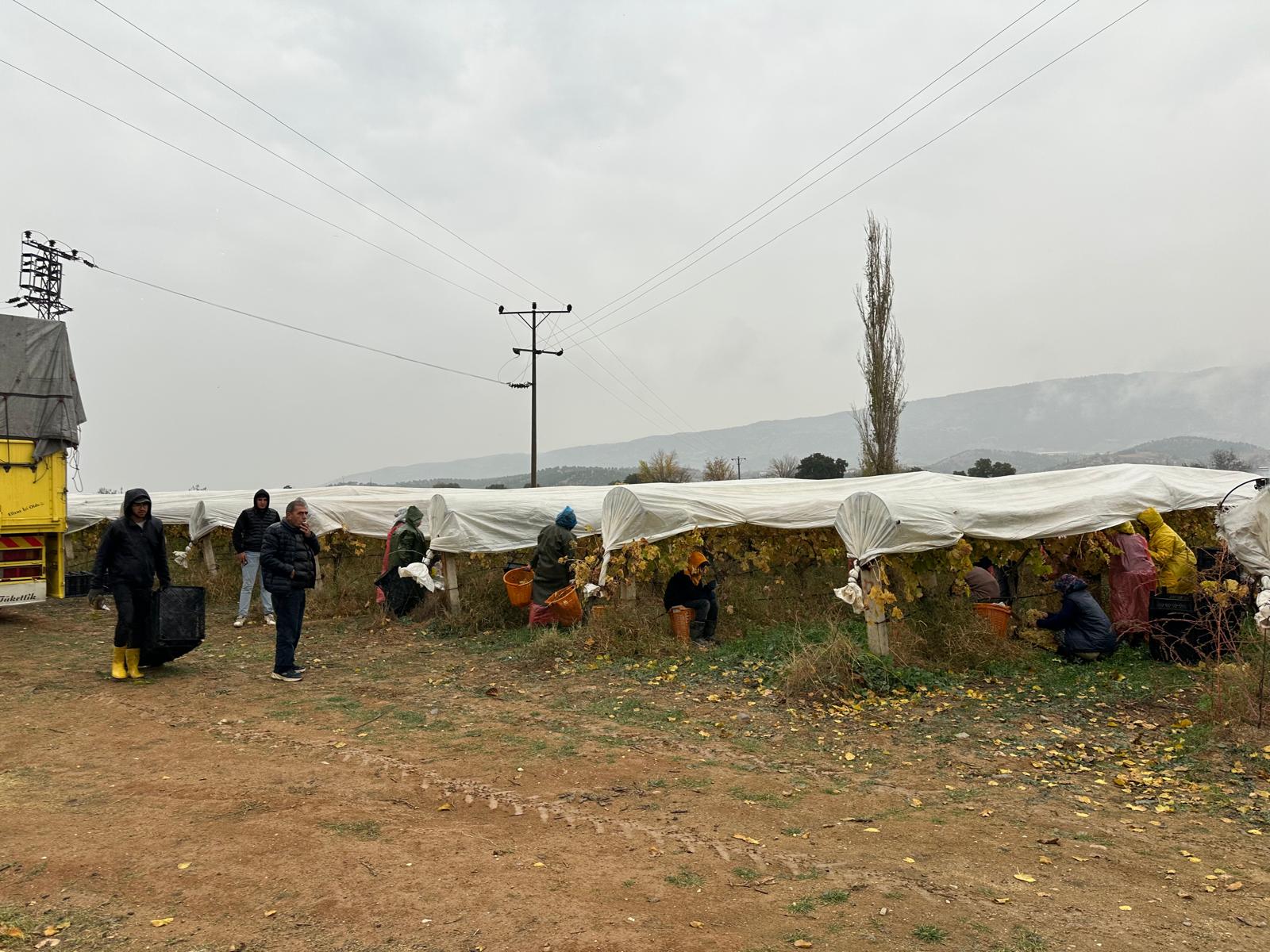 Whatsapp Image 2025 11 29 At 15.07.56 (1)