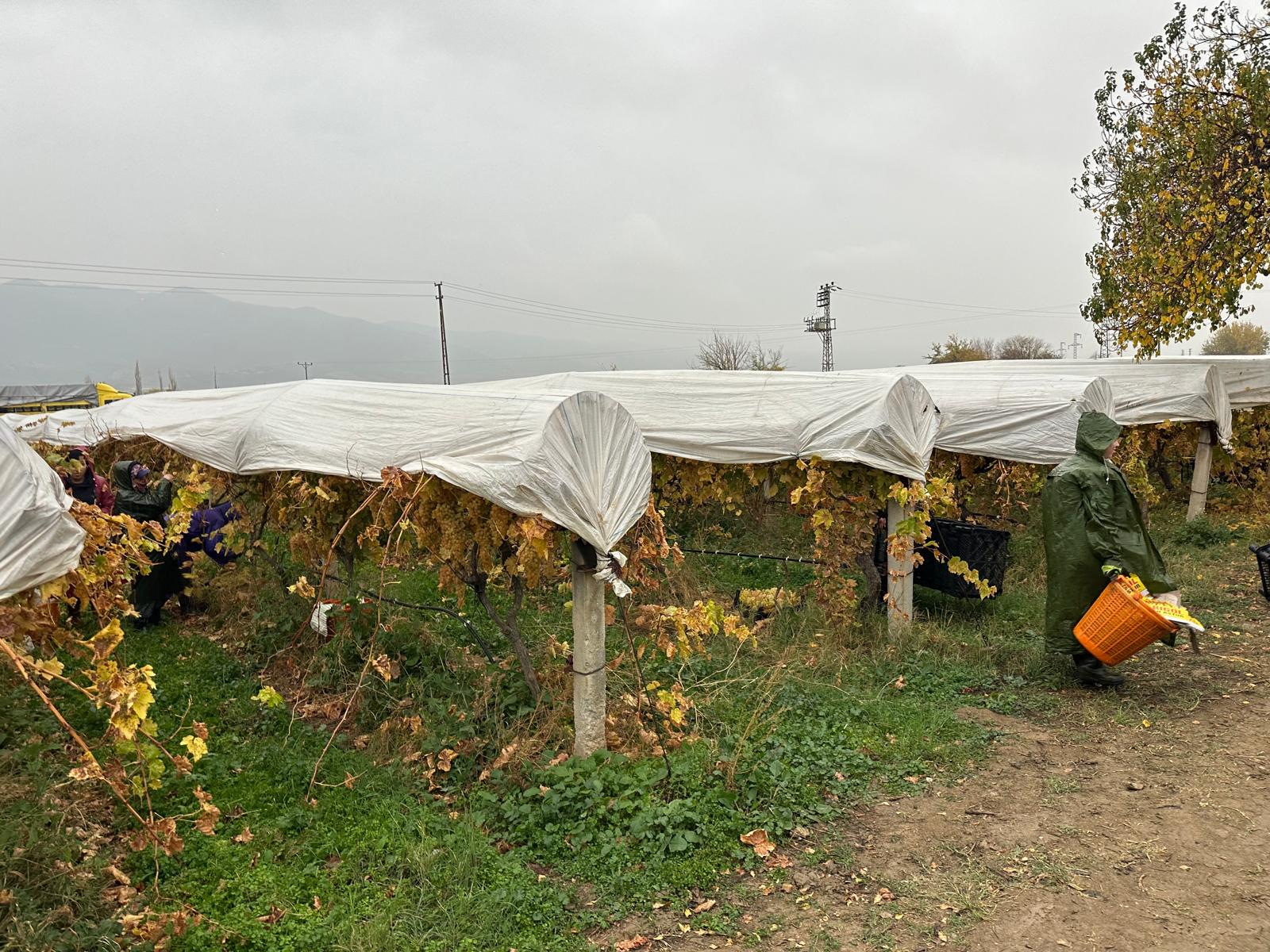 Whatsapp Image 2025 11 29 At 15.07.58 (1)