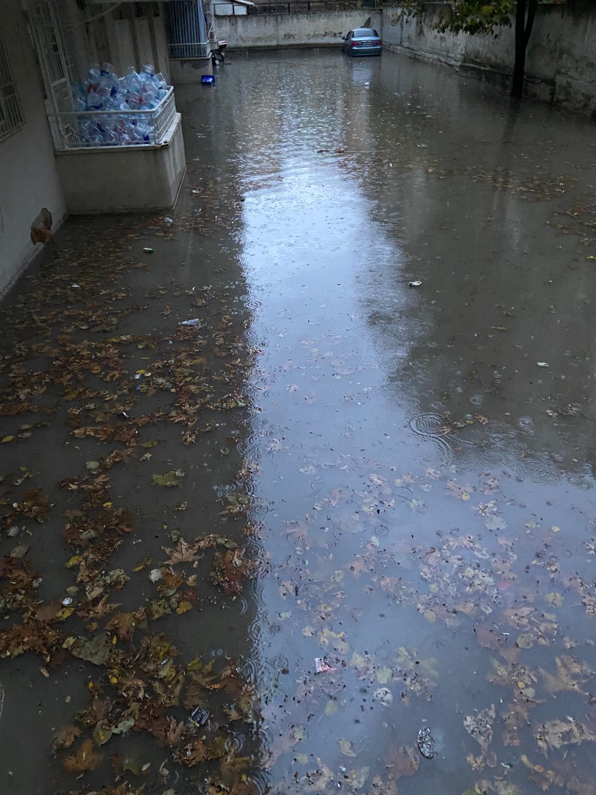 Whatsapp Image 2025 11 29 At 16.27.40