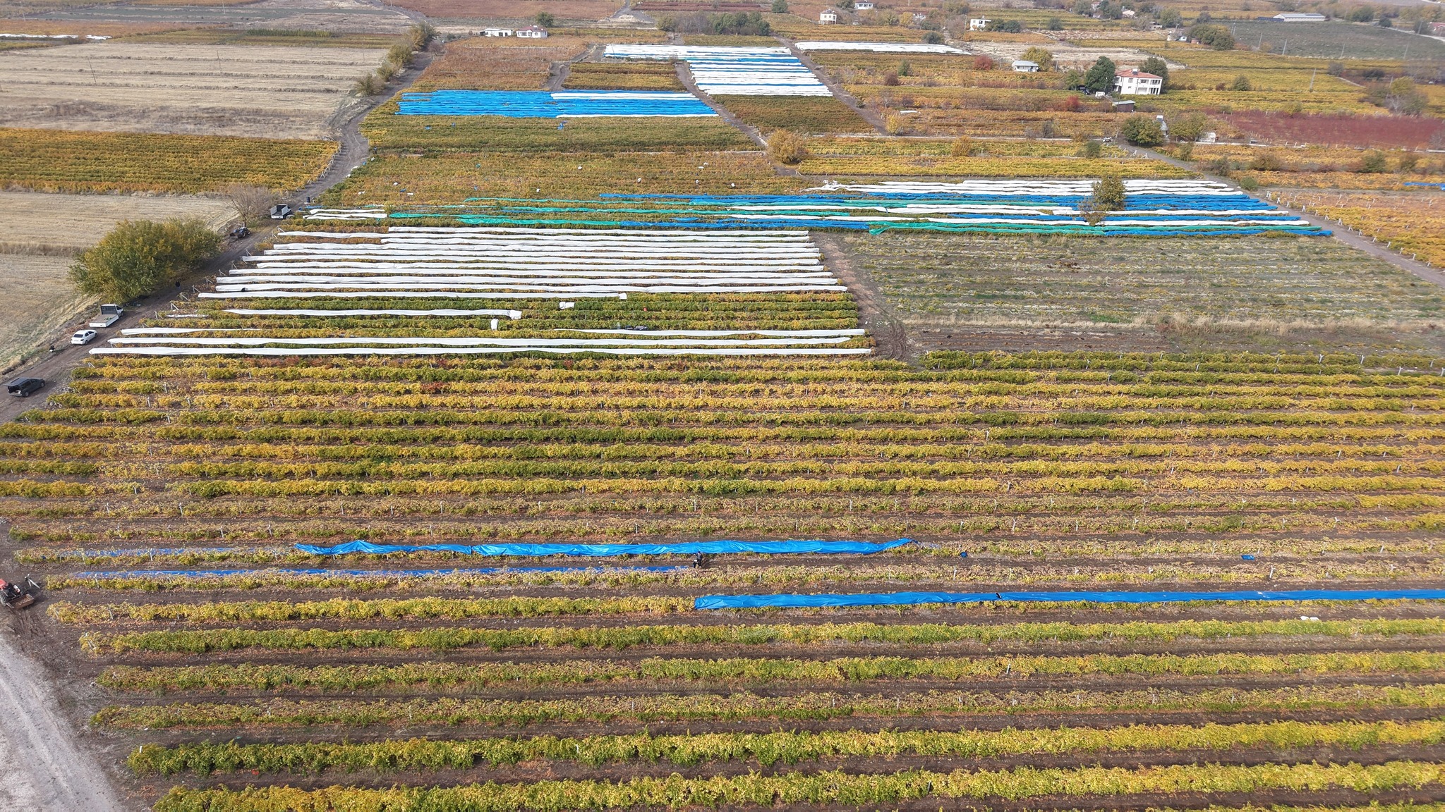 588556485 1398659988936123 6959063844103605461 N