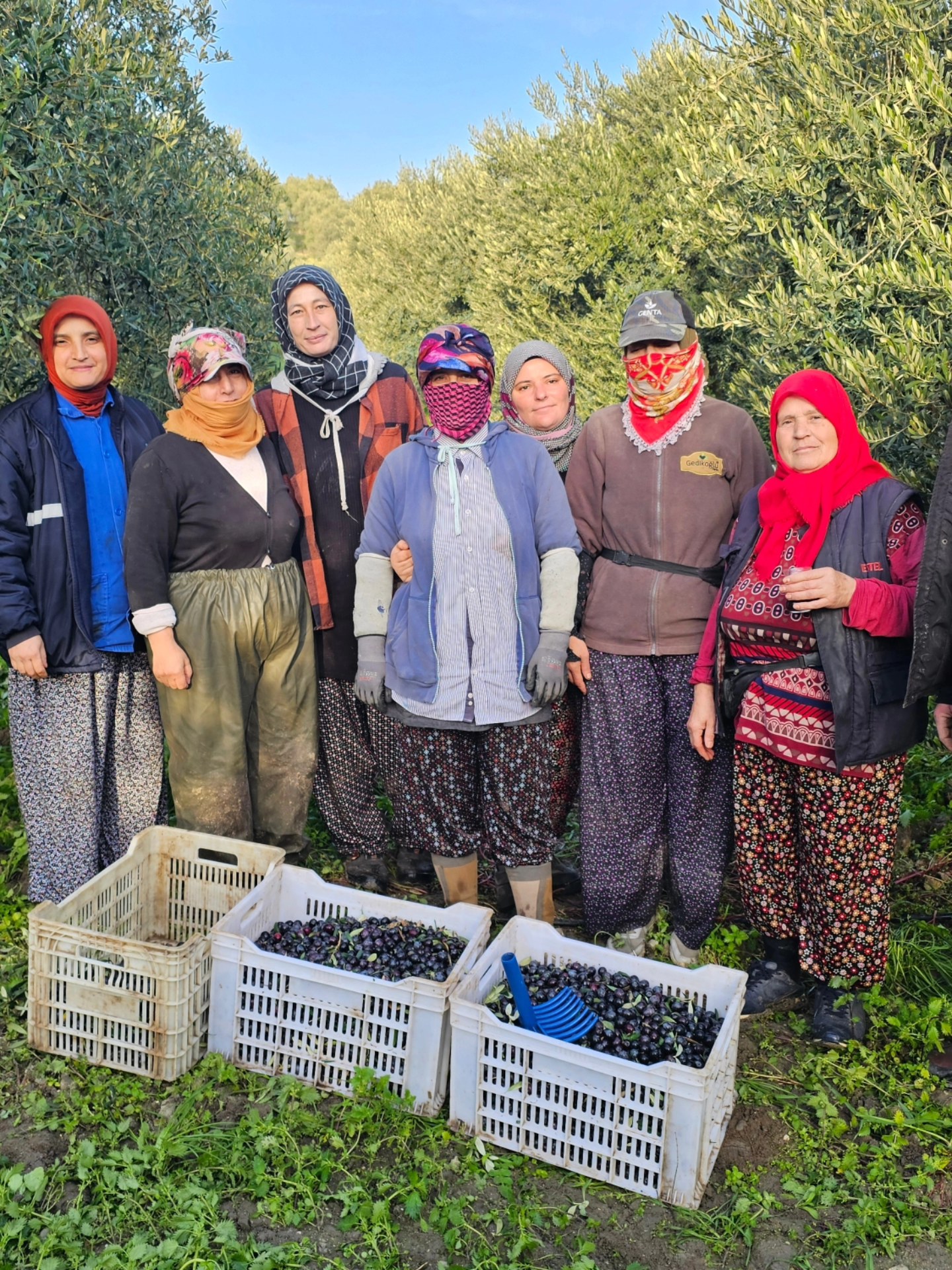 588826276 26110119231924141 4733744336272596940 N