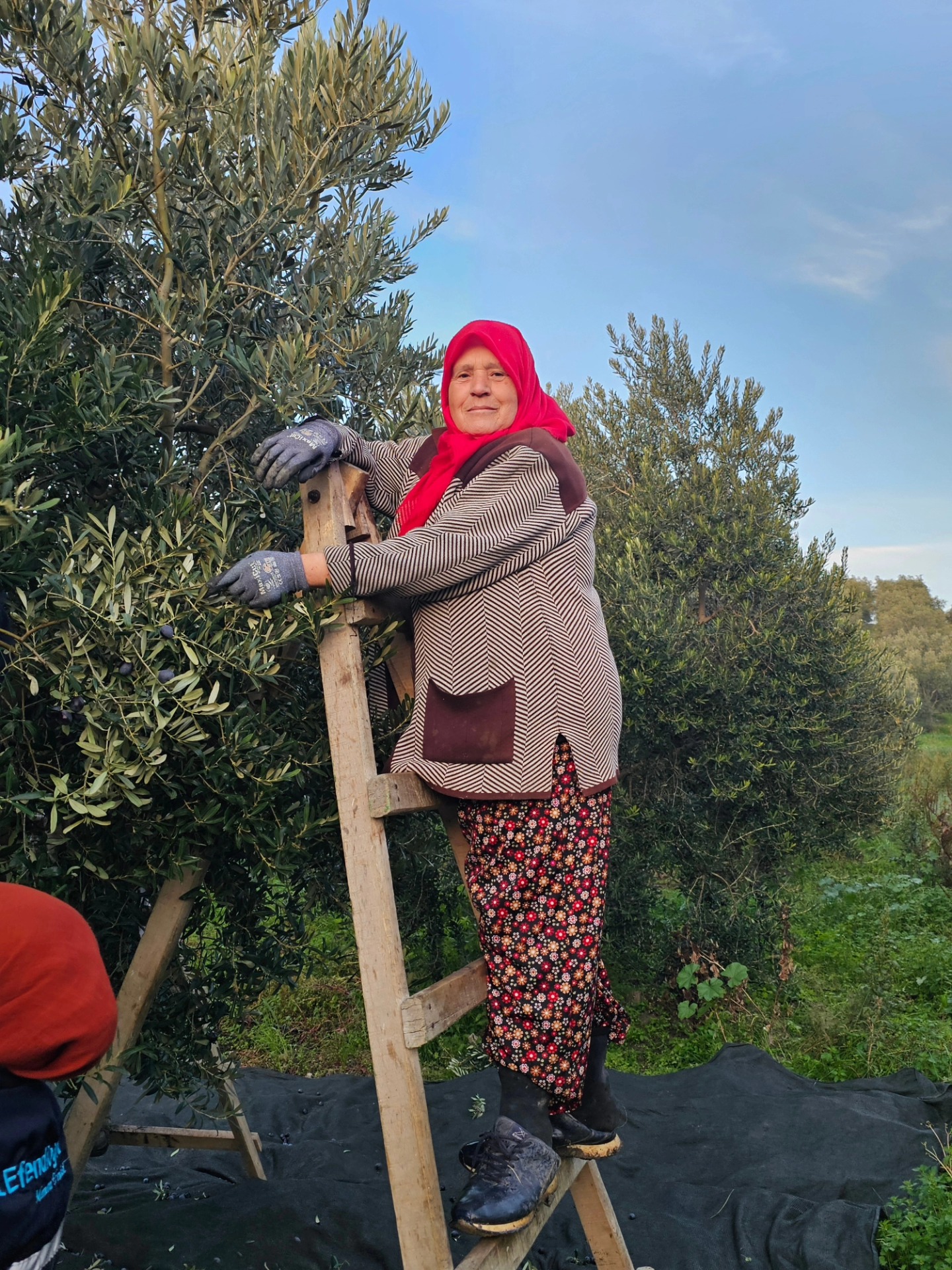 589648358 26110119211924143 5988311990211109421 N