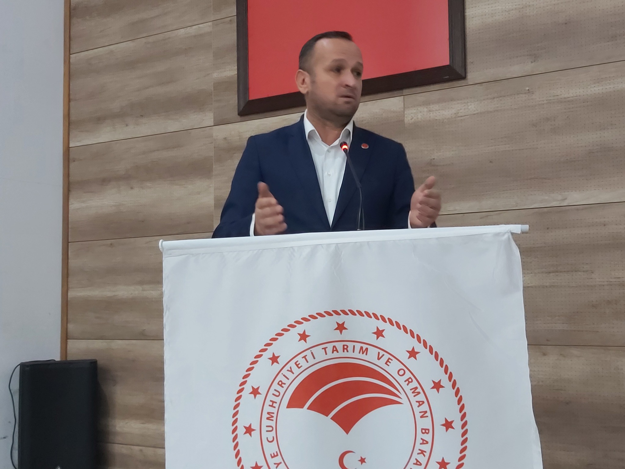 597065742 1426189625677430 9079017294944987345 N