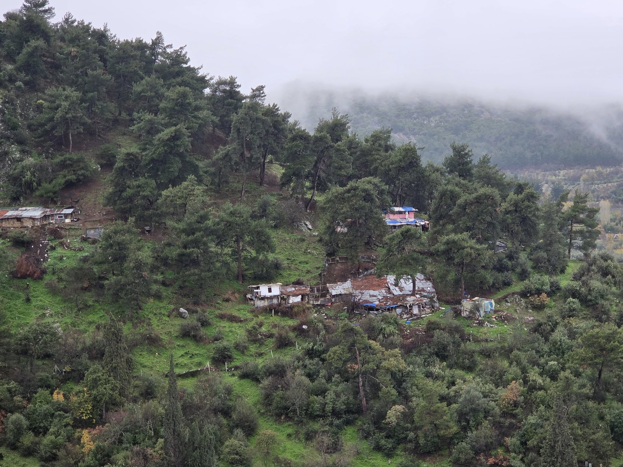 597393348 3244128222413251 1052974494254521699 N