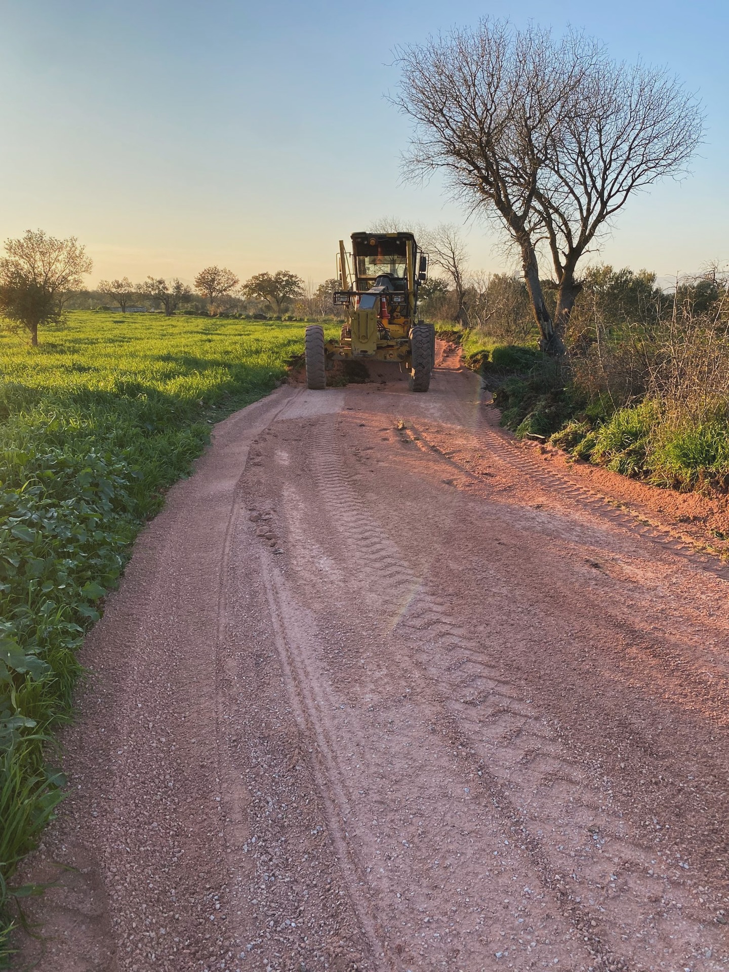 603076629 18251702218290013 4722657829604568361 N