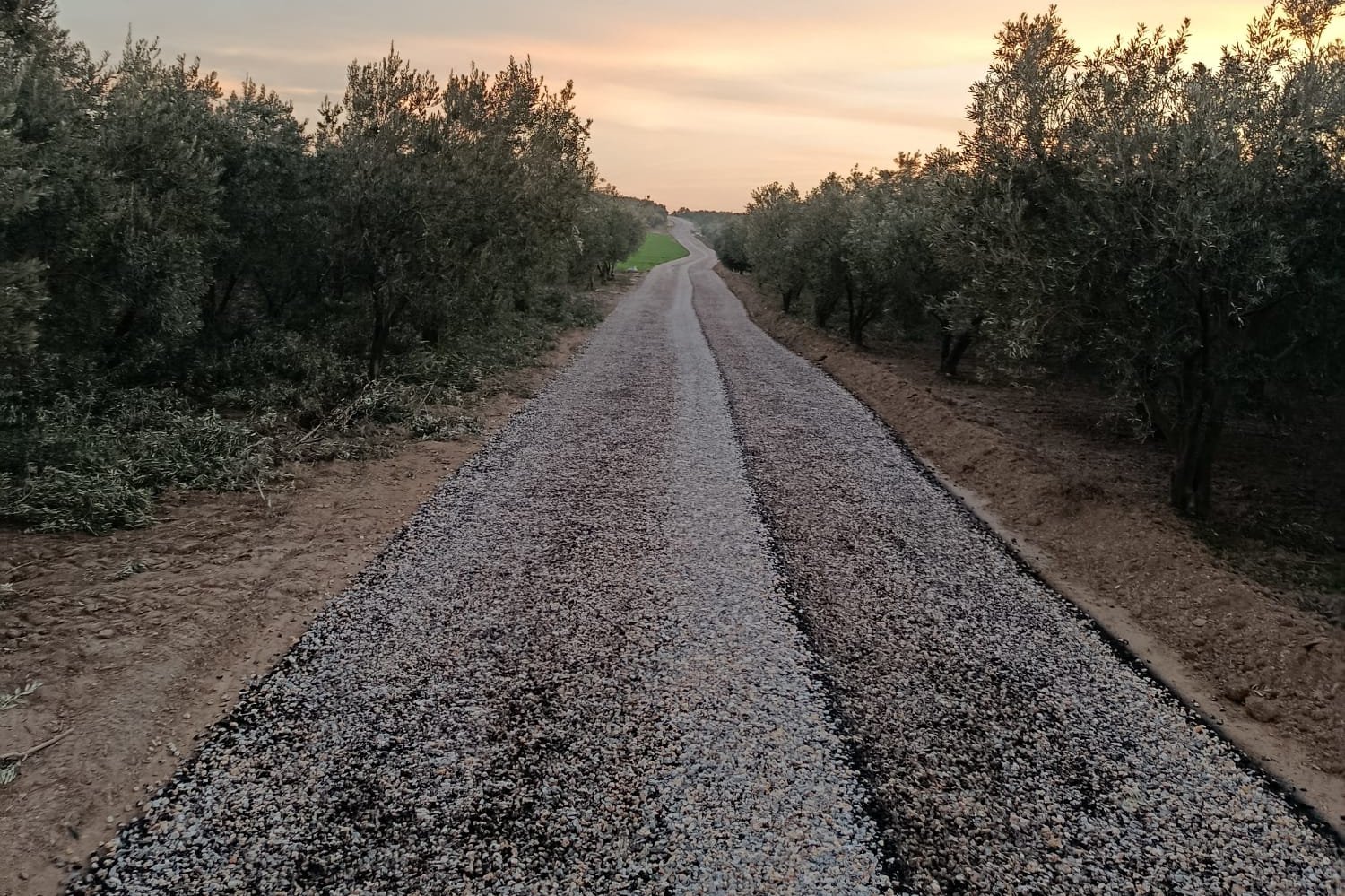 606056000 1194910729491101 8719218617346434710 N