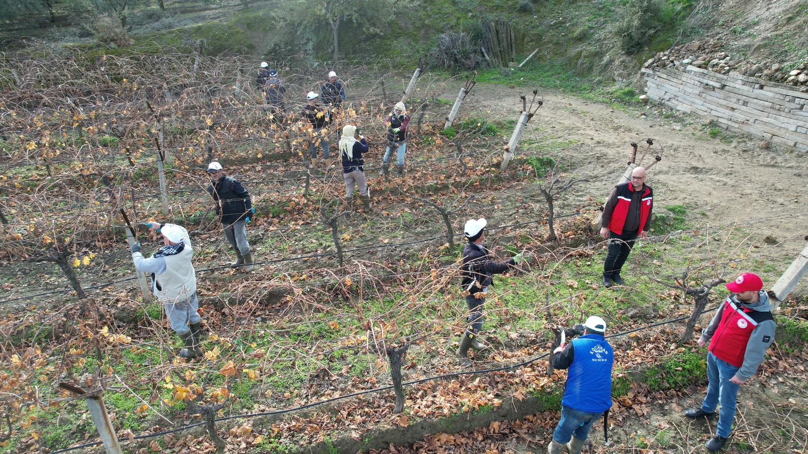 607106972 1362561399249845 8184504121935229726 N