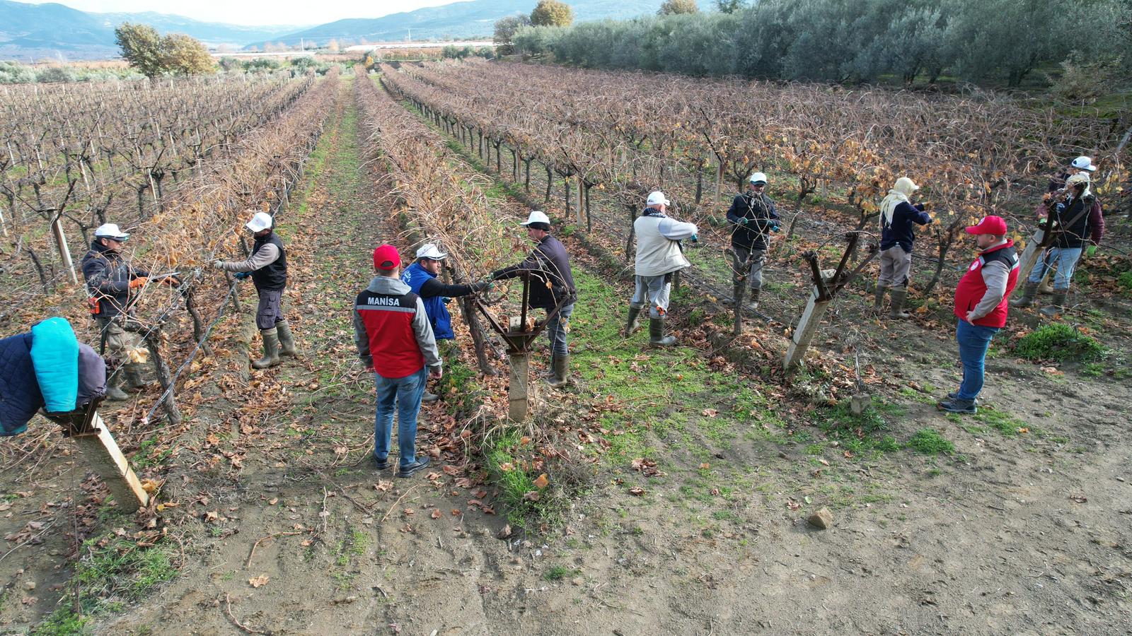 607991351 1362561402583178 2615796342502256517 N