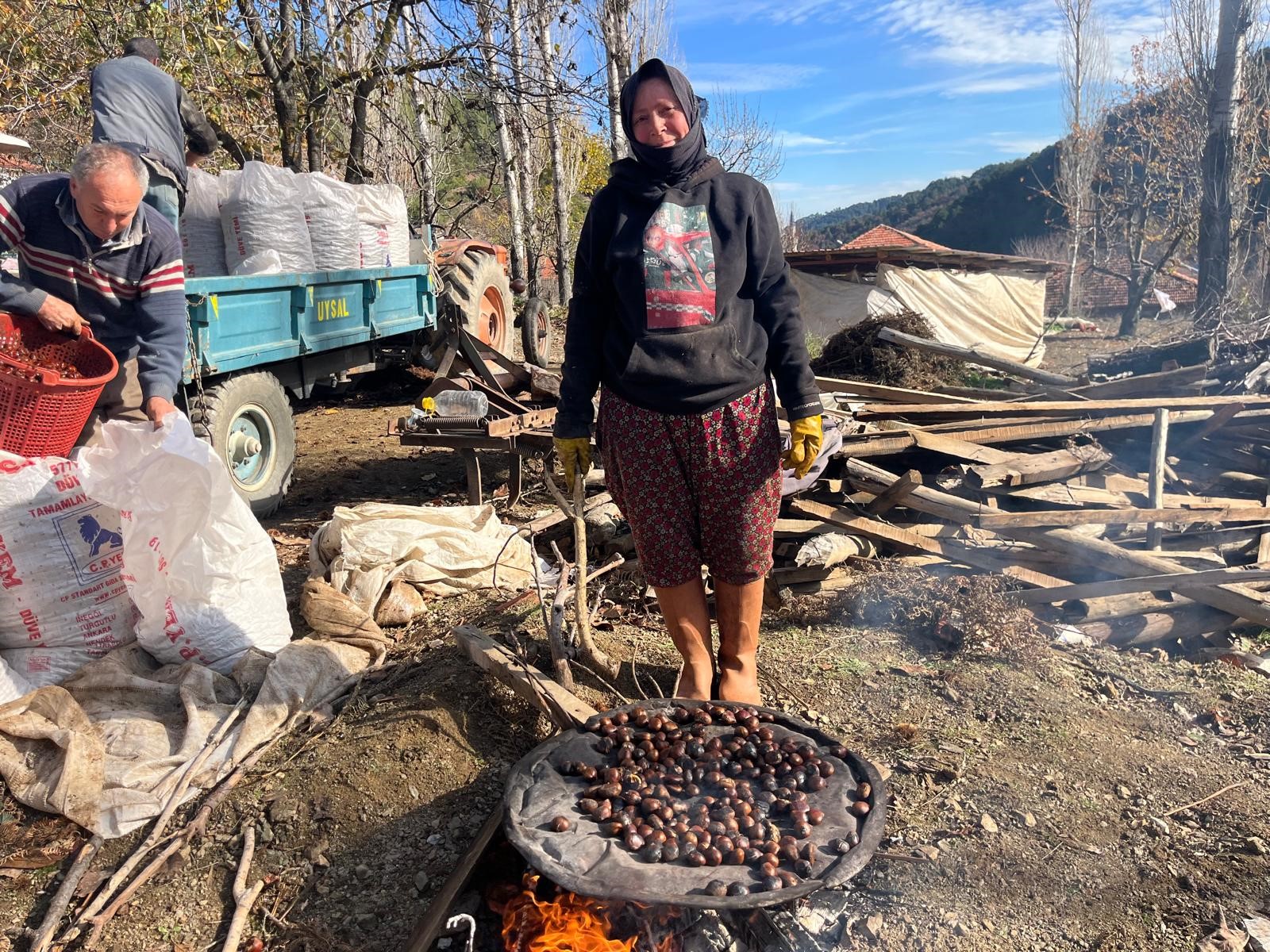 Buldan'da kestane hasadı yüzleri güldürdü-.1