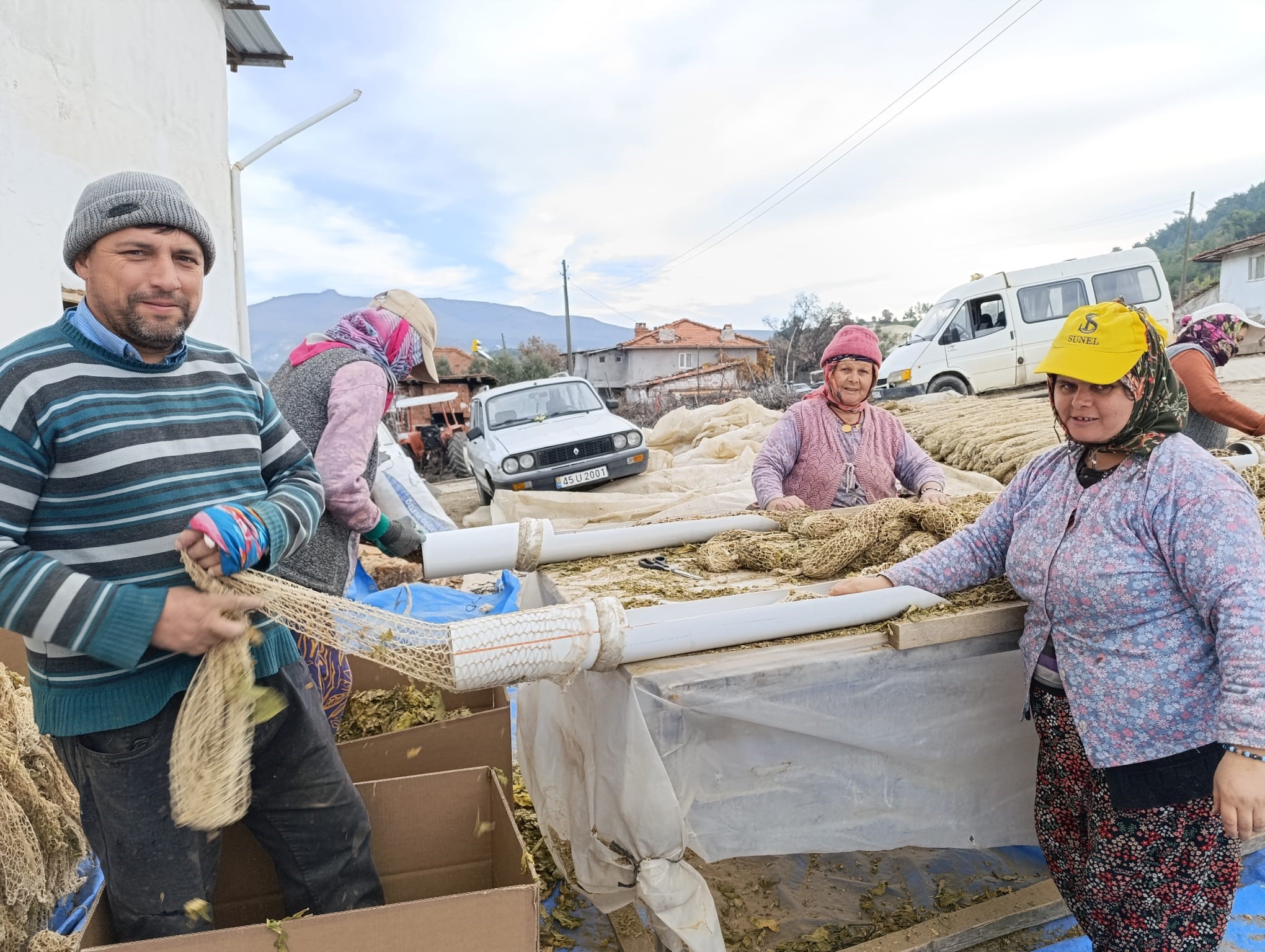 Manisa'da tütün mesaisi kolileme ile devam ediyor-.1.