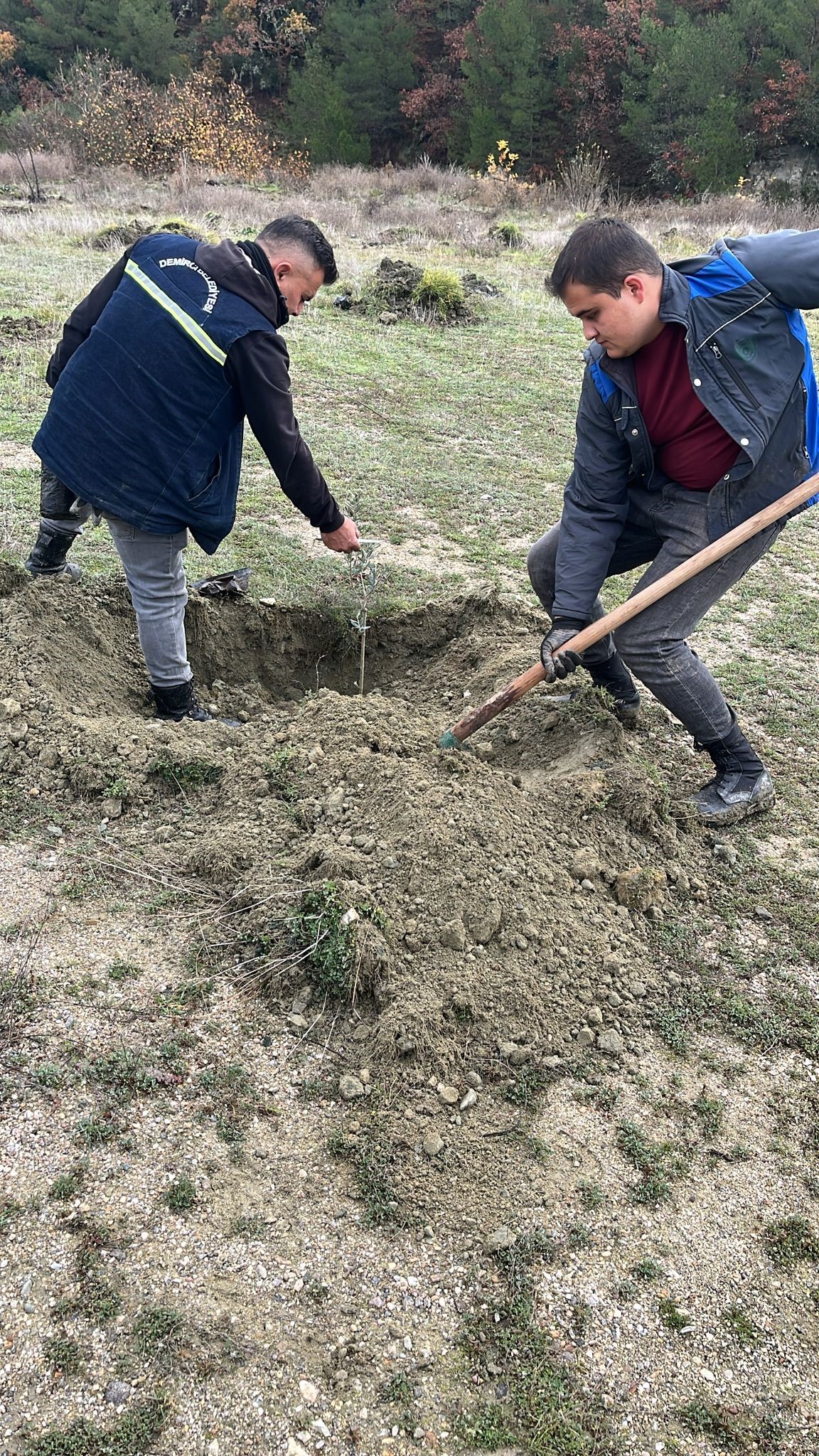 Demirci Atıl Arazii (4)