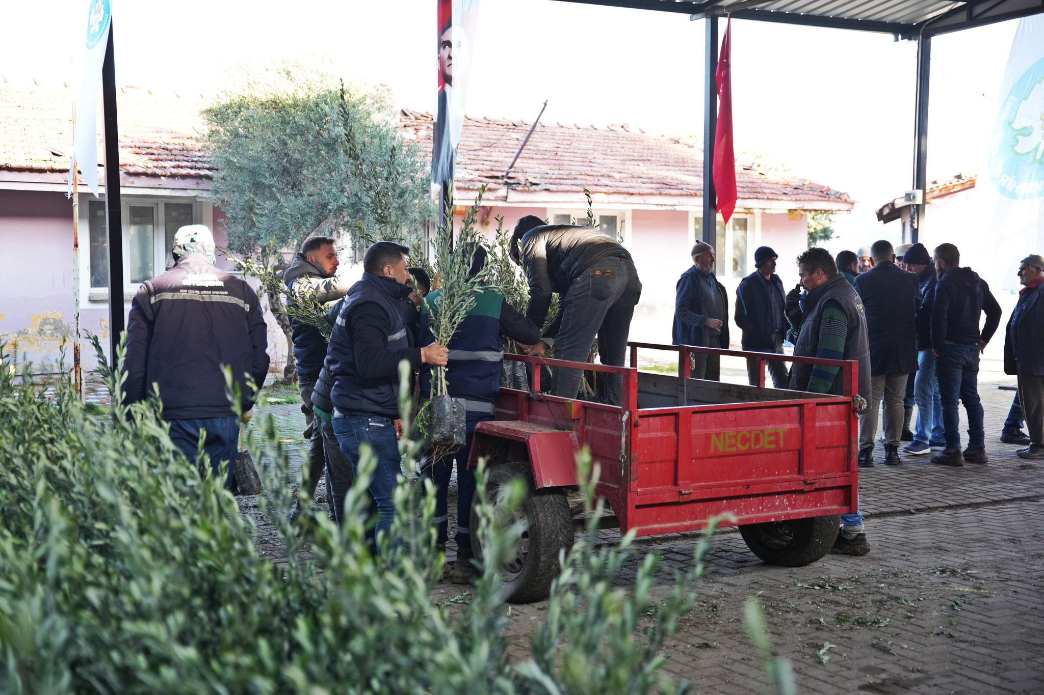 Manisa Fidan Desteği (2)