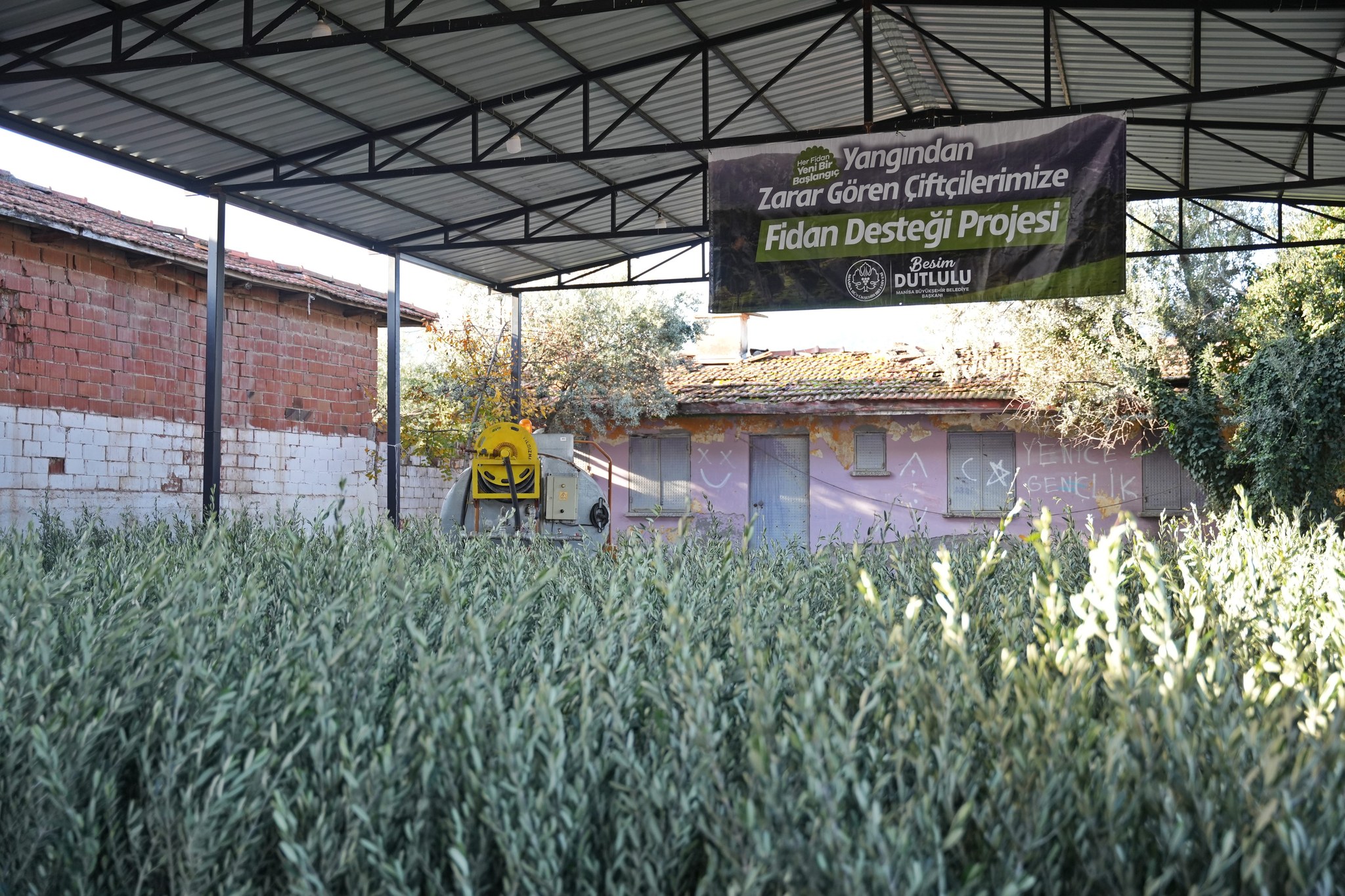 Manisa Fidan Desteği (7)