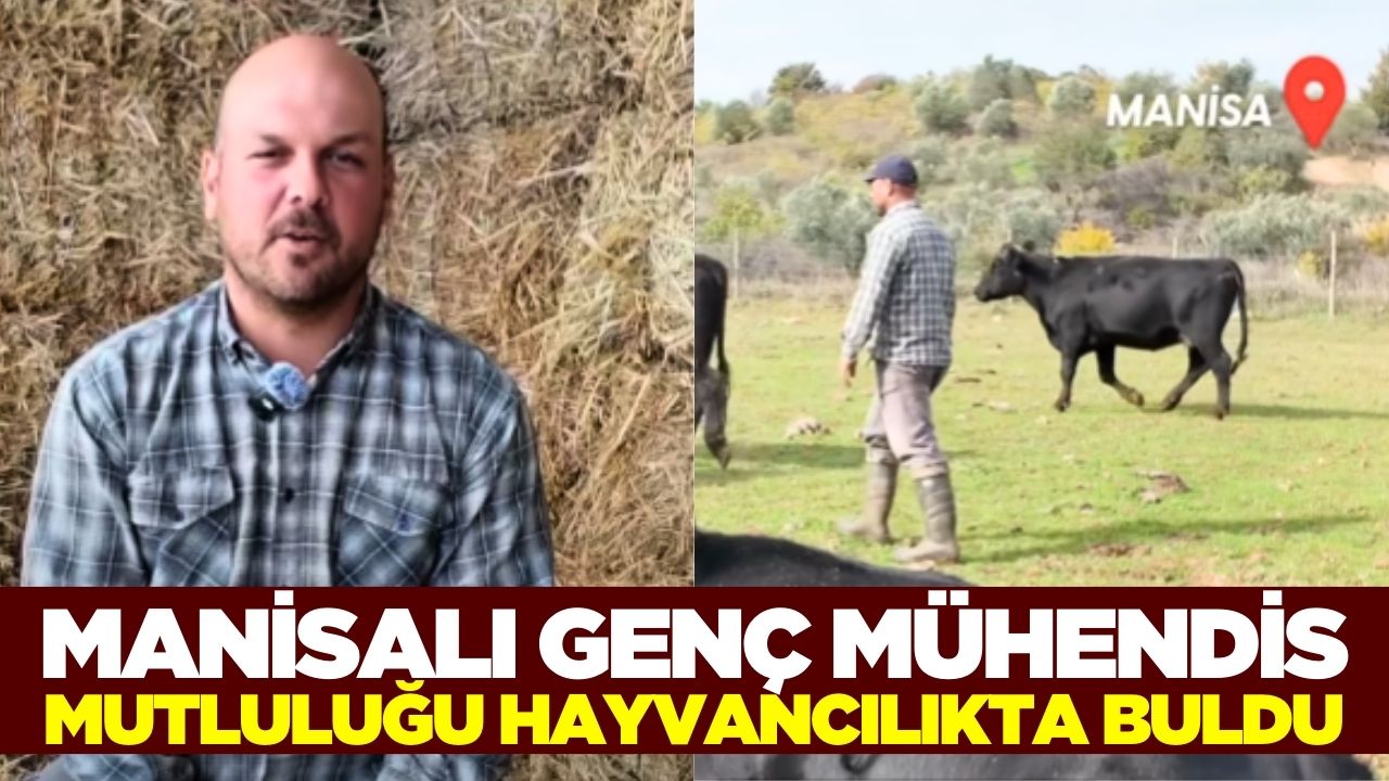 Manisalı Ziraat Mühendisi Köyüne Dönüp Hayvancılığa Başladı Kapak (1)