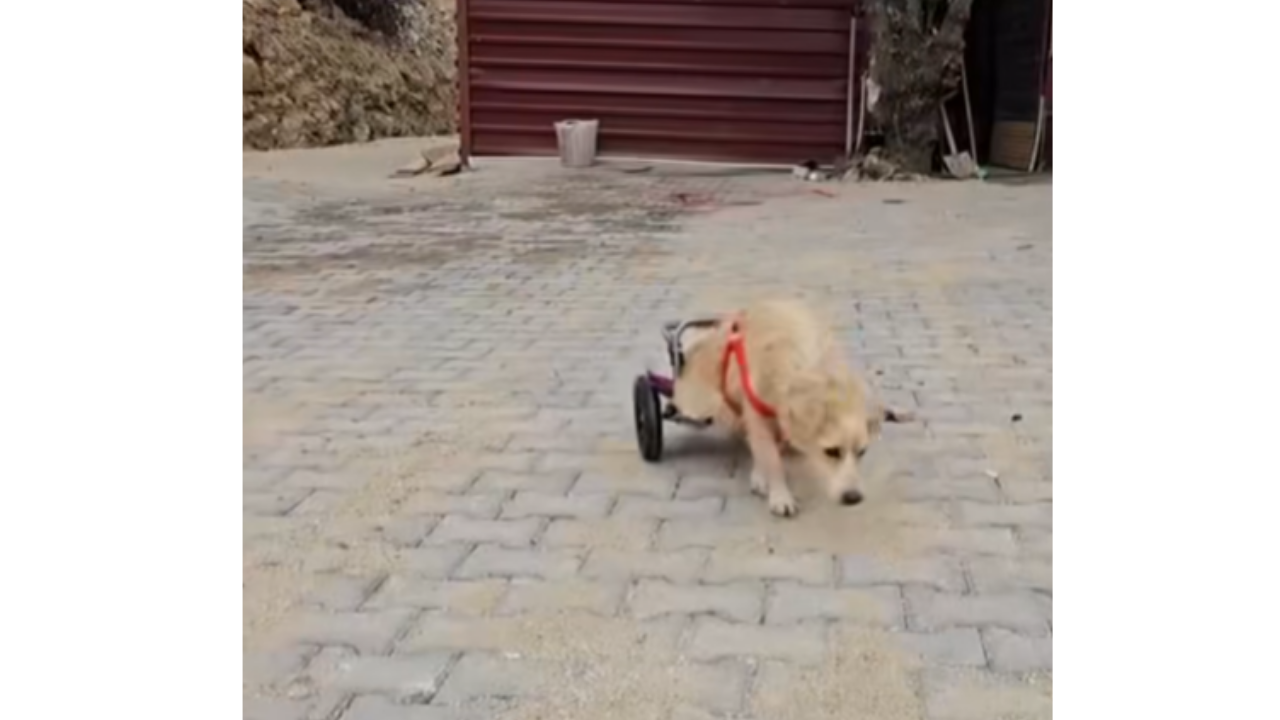 Sarıgöl Belediyesi'nden Örnek Davranış