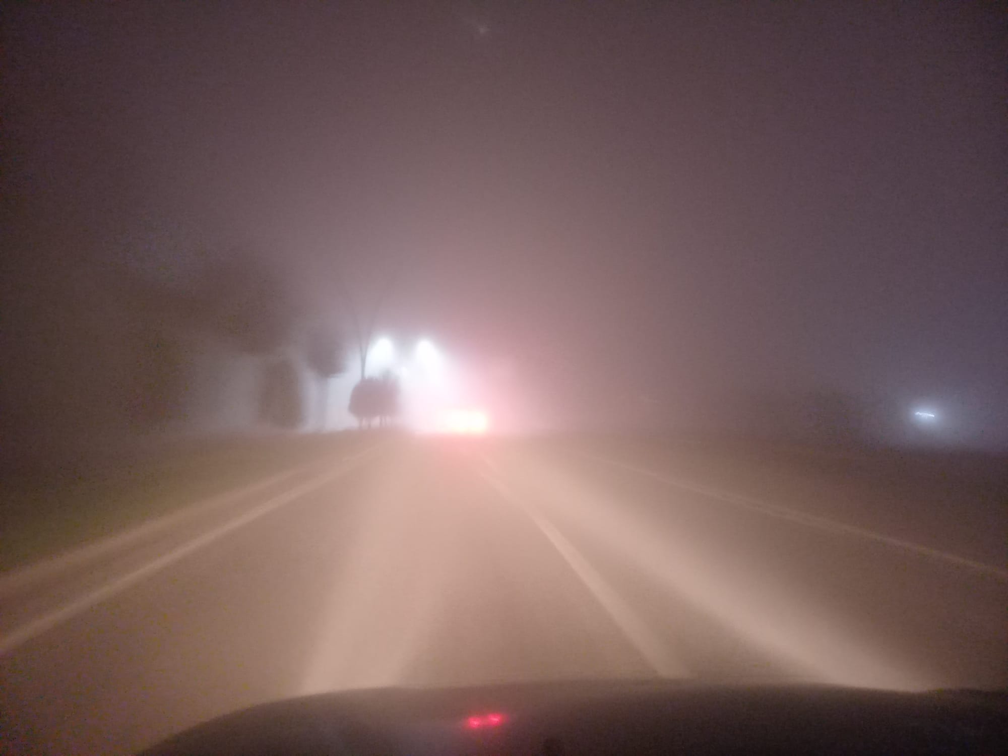 Whatsapp Image 2025 12 04 At 11.28.29