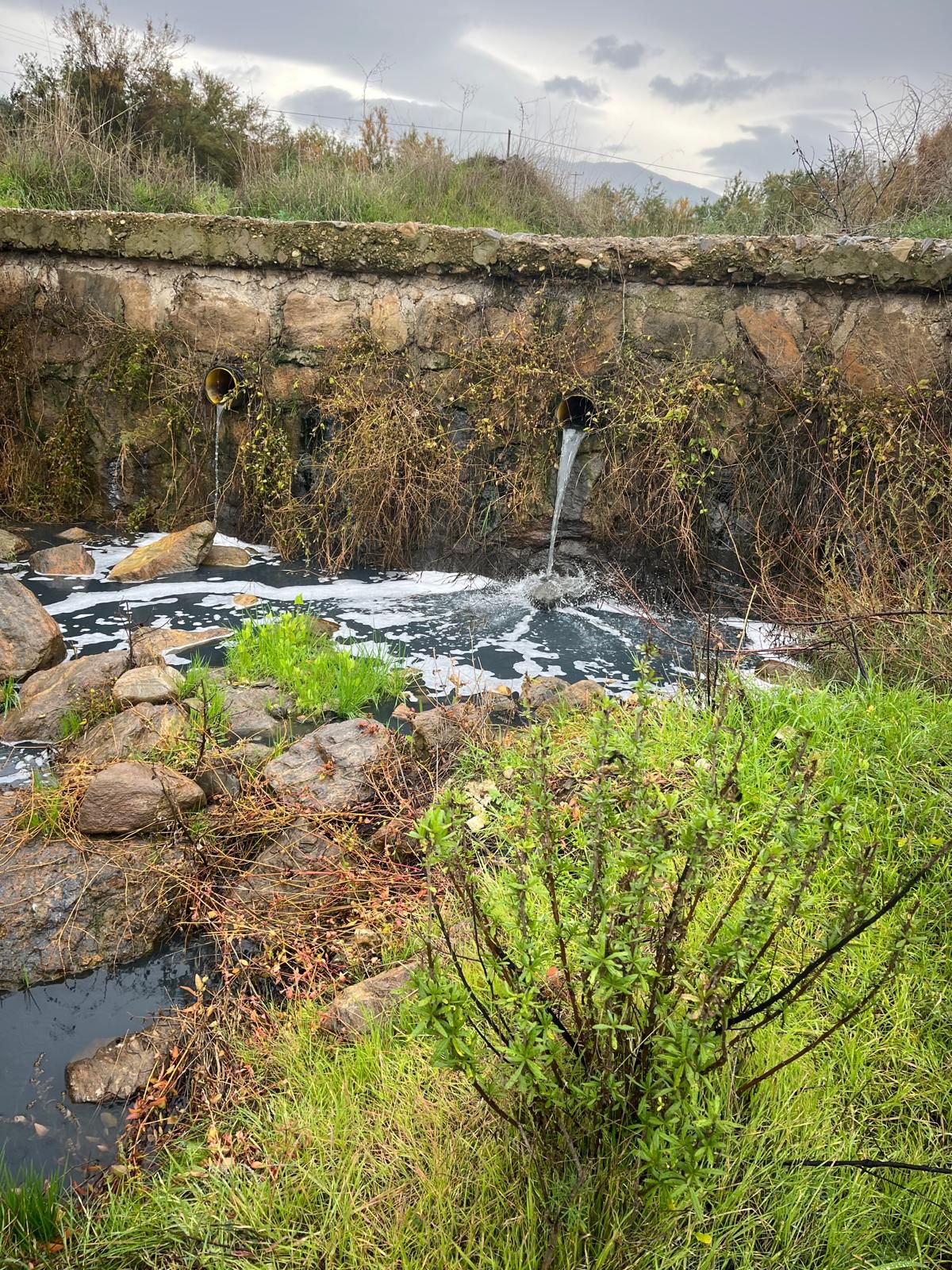 Whatsapp Image 2025 12 18 At 21.48.19